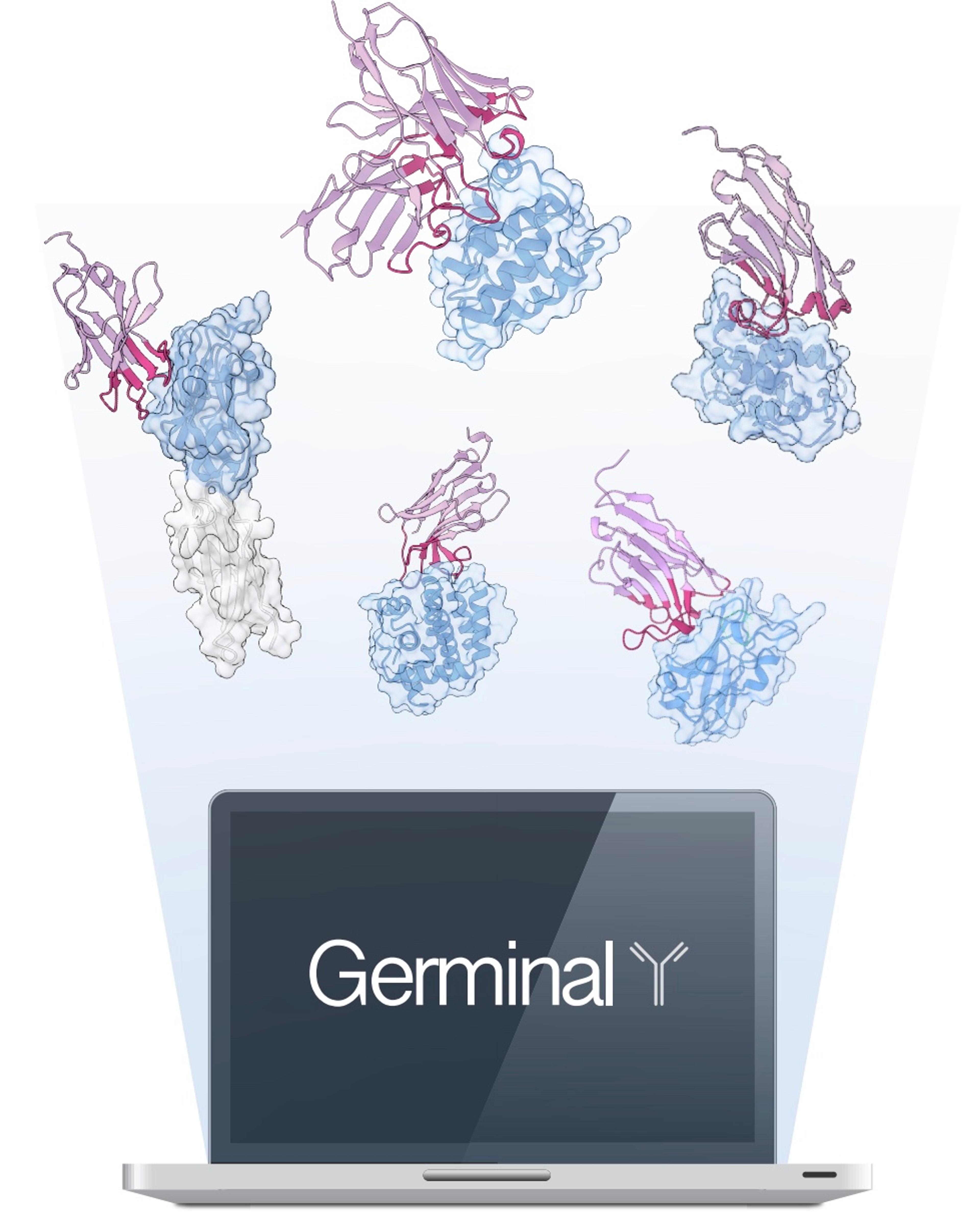 Efficient generation of epitope-targeted de novo antibodies with Germinal