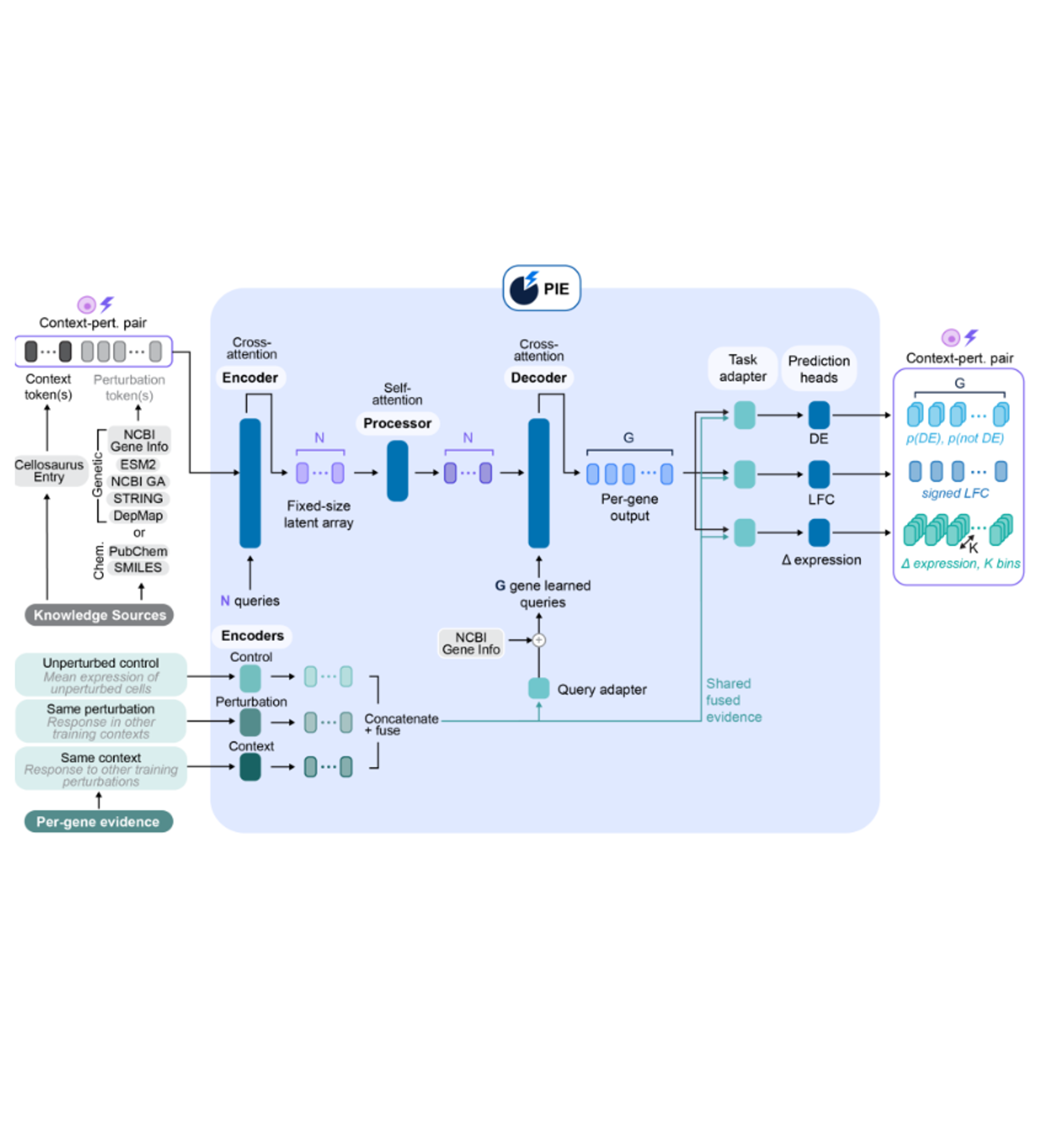 PIE: Generalizing perturbation effects across unseen perturbations, contexts and datasets