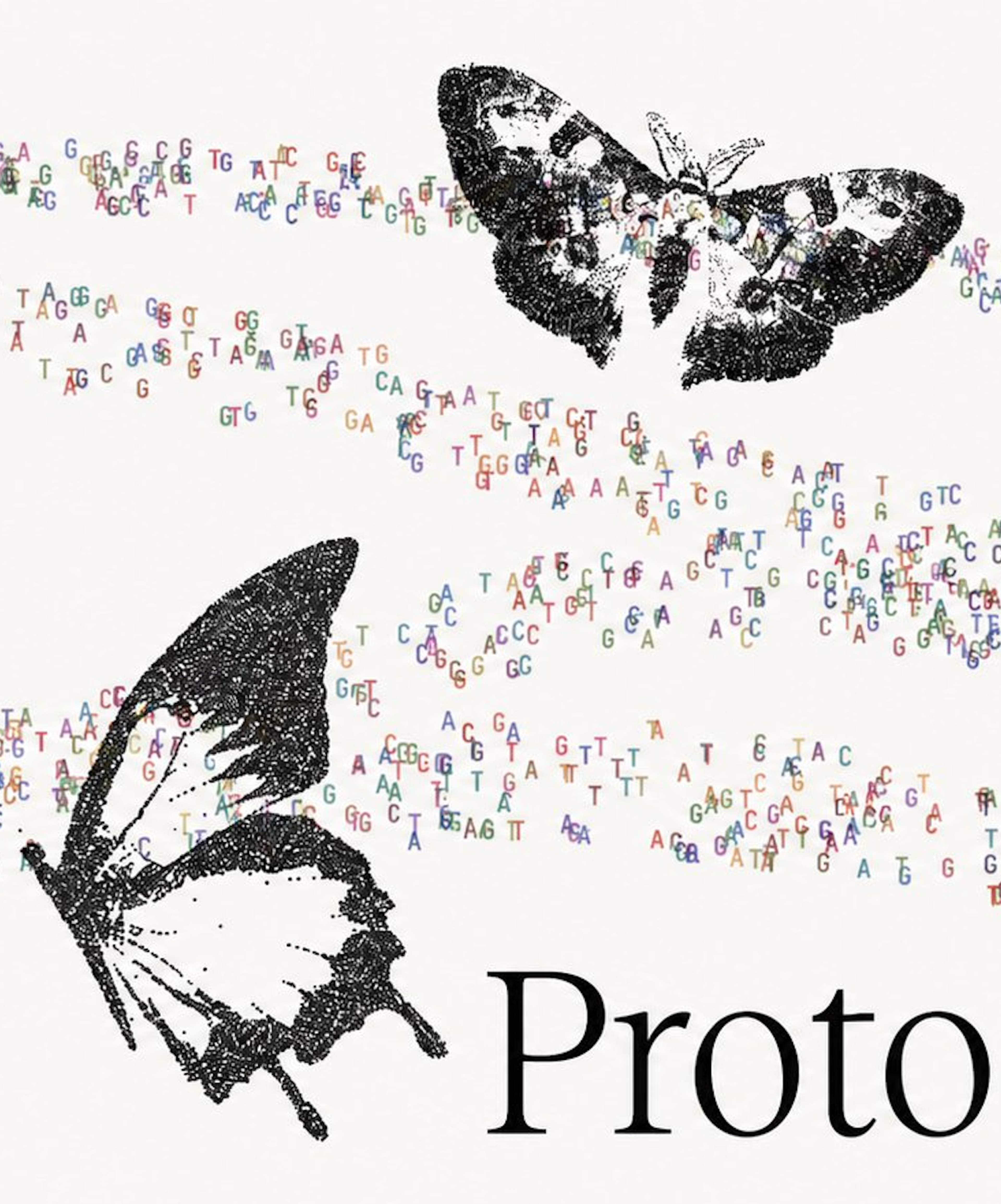 A high-level programming language for generative biology with Proto