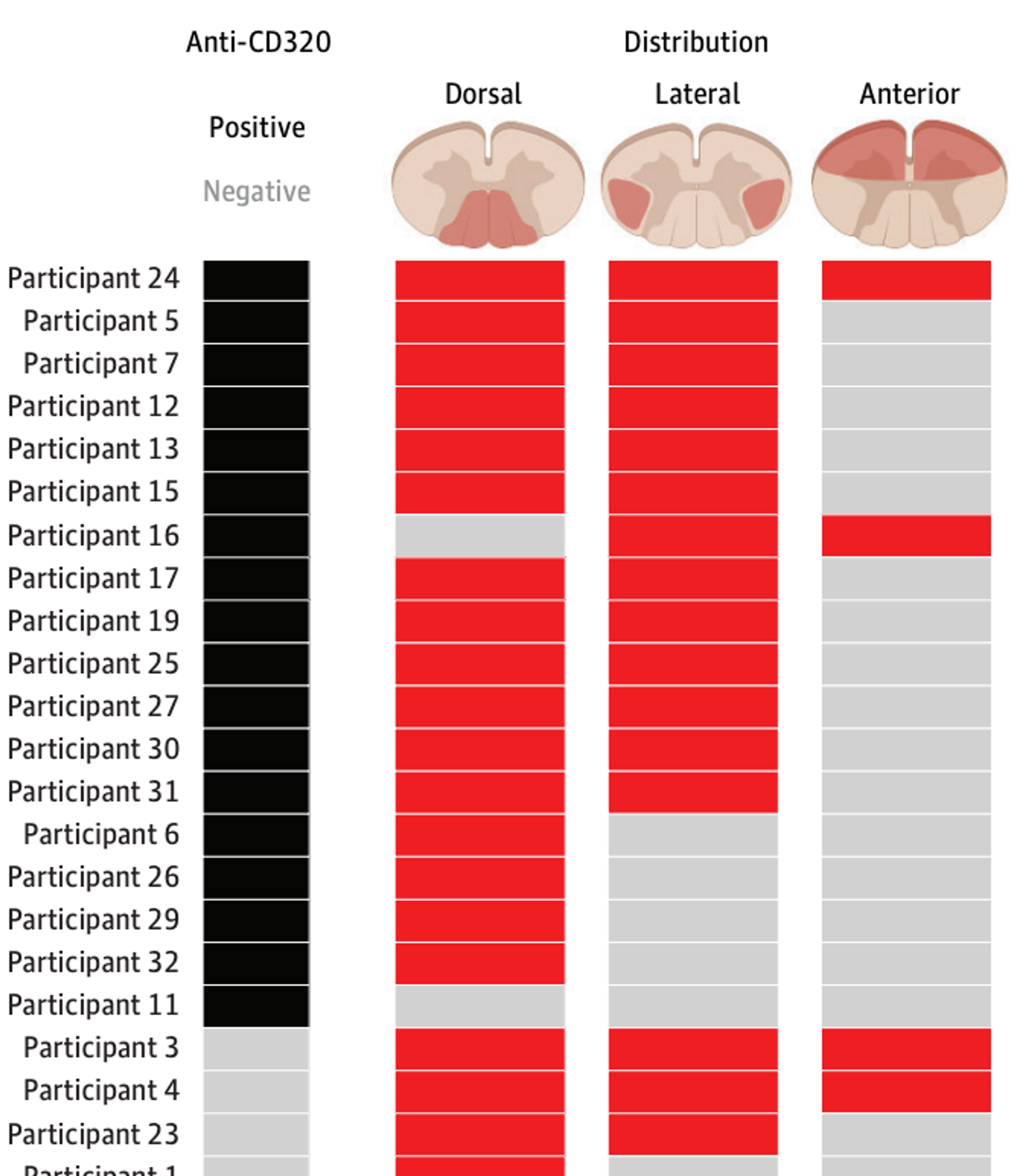Anti-CD320 Autoantibodies and Central Nervous System Vitamin B12 Deficiency in Idiopathic Myelopathy