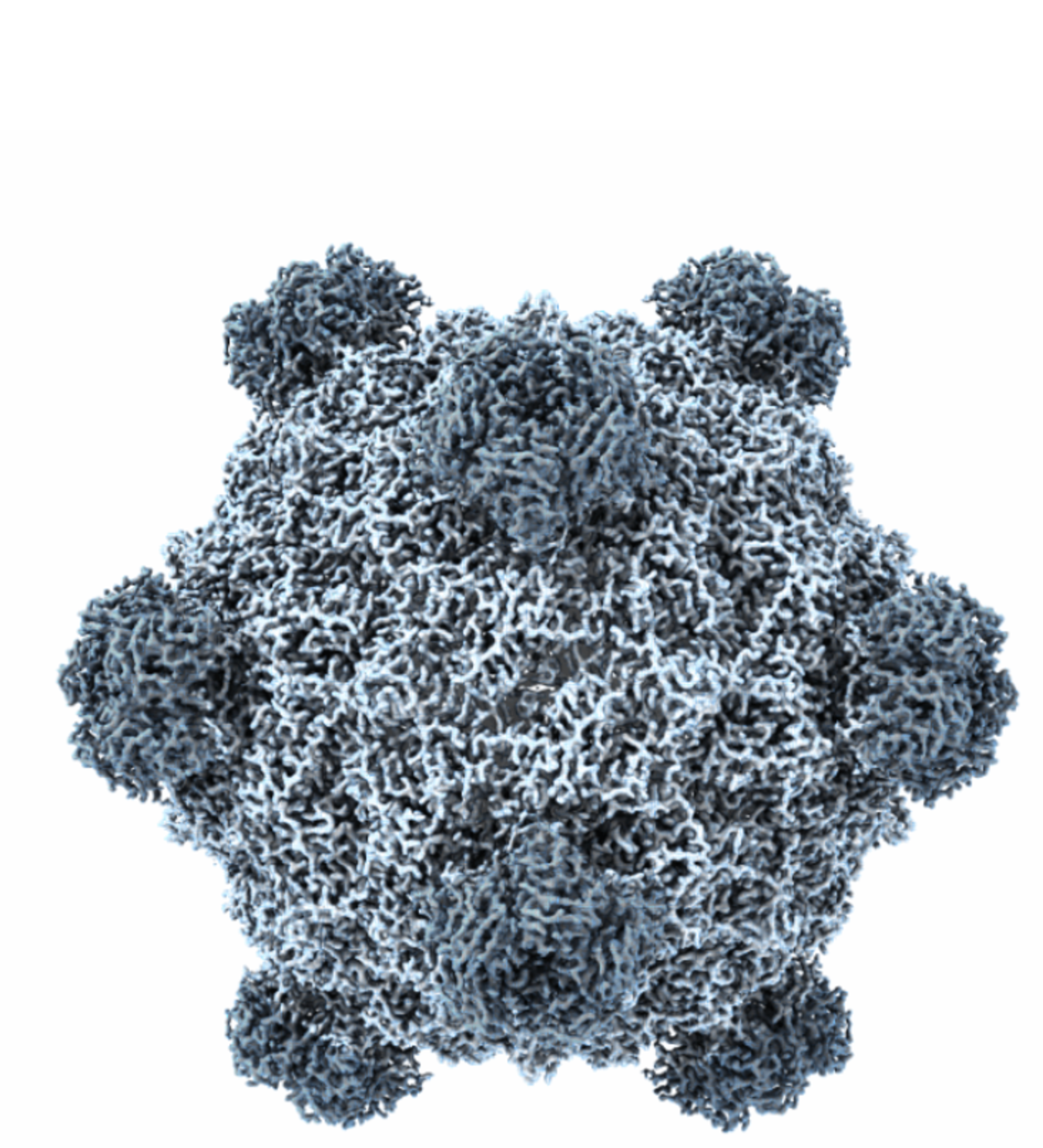 Generative design of novel bacteriophages with genome language models