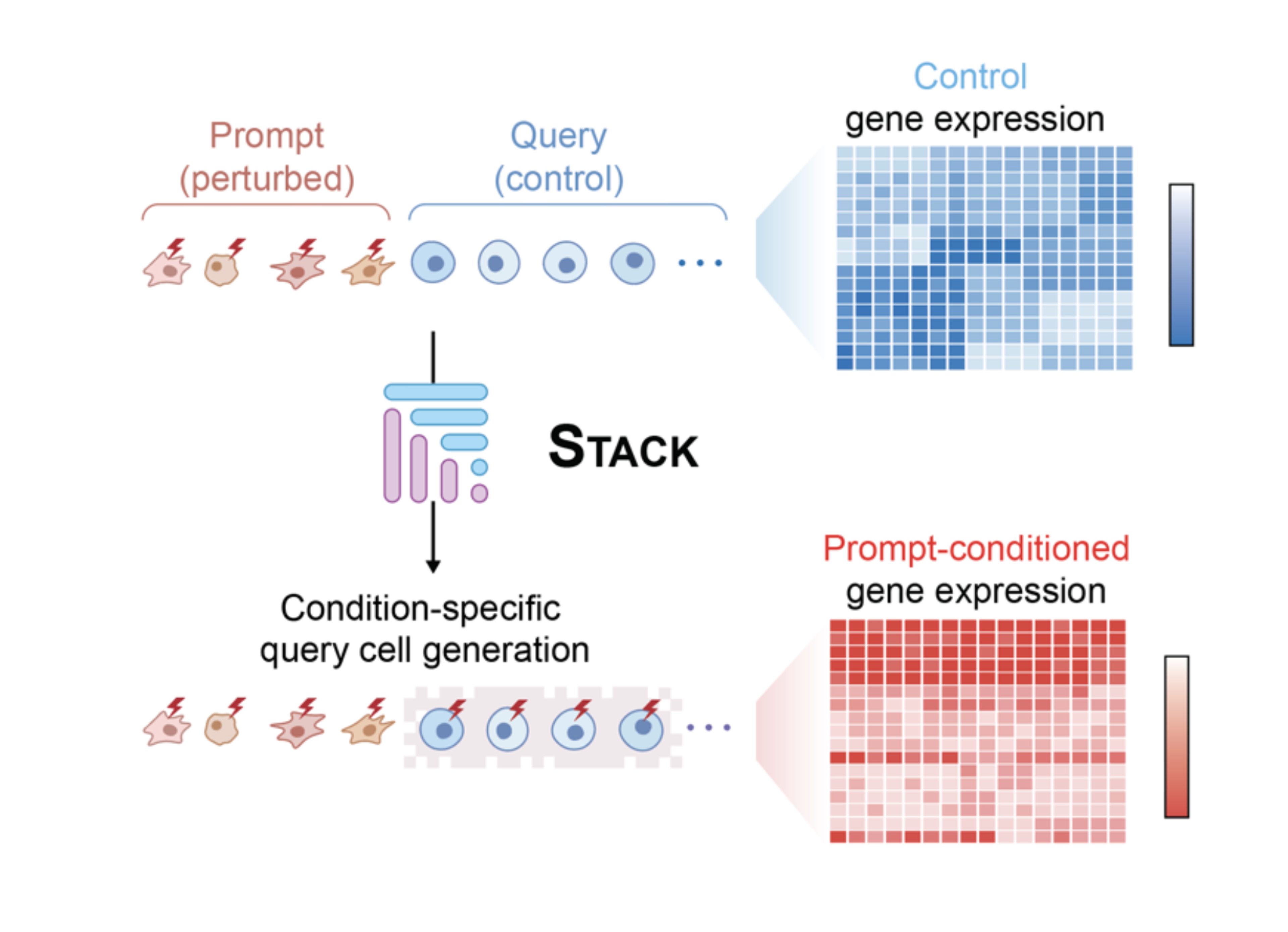 Stack: In-context learning of single-cell biology