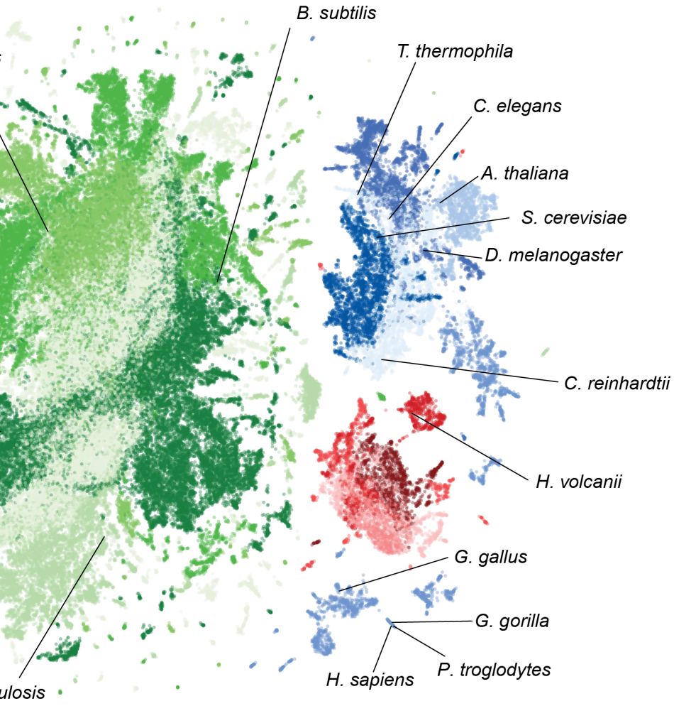 Genome modeling and design across all domains of life with Evo 2