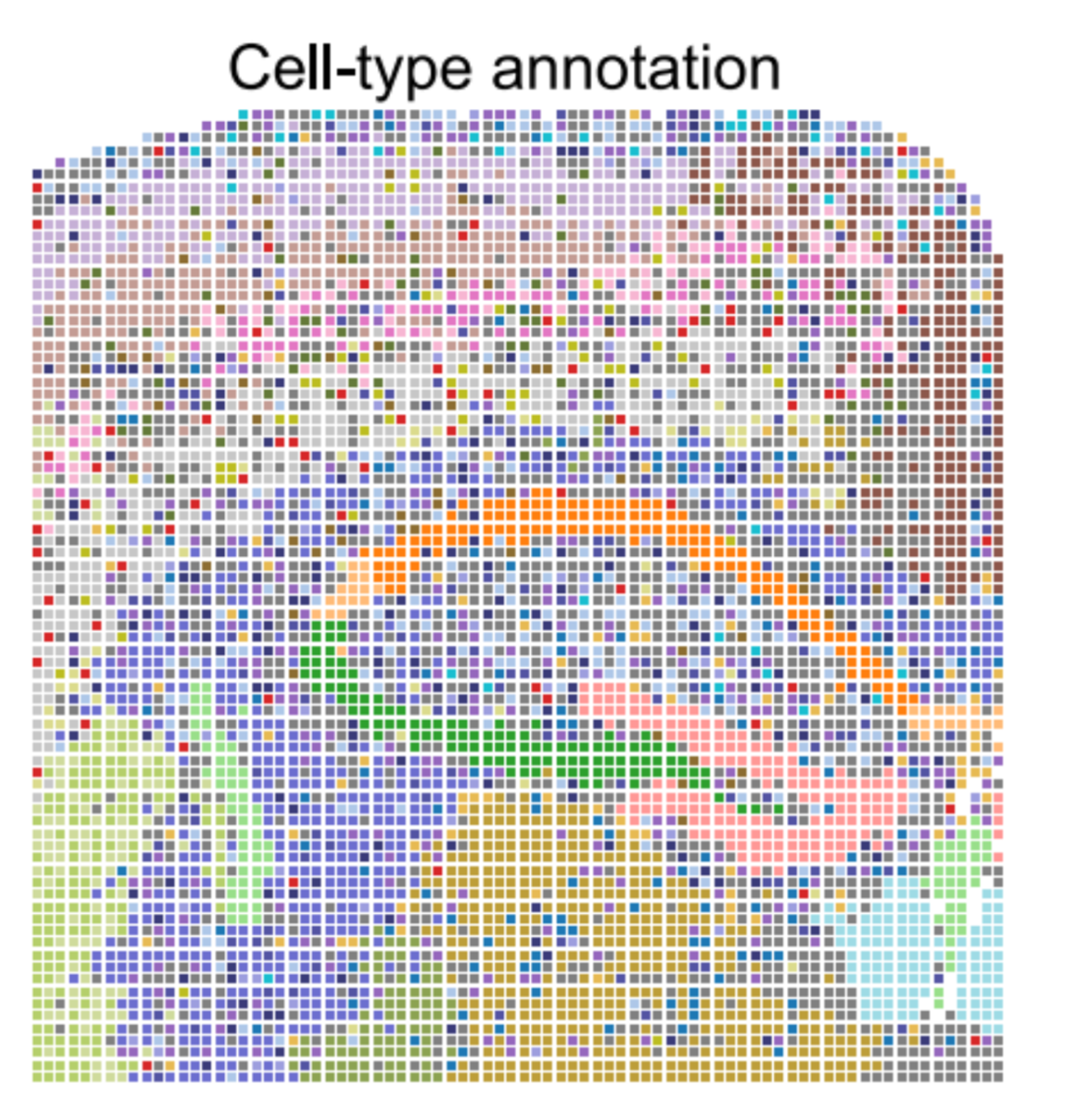 Integrative spatial profiling of 3D genome organization and gene expression in tissue