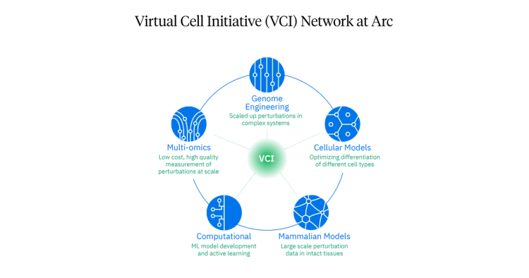 Virtual Cell Lean Virtual Cell Initiative | Arc Institute