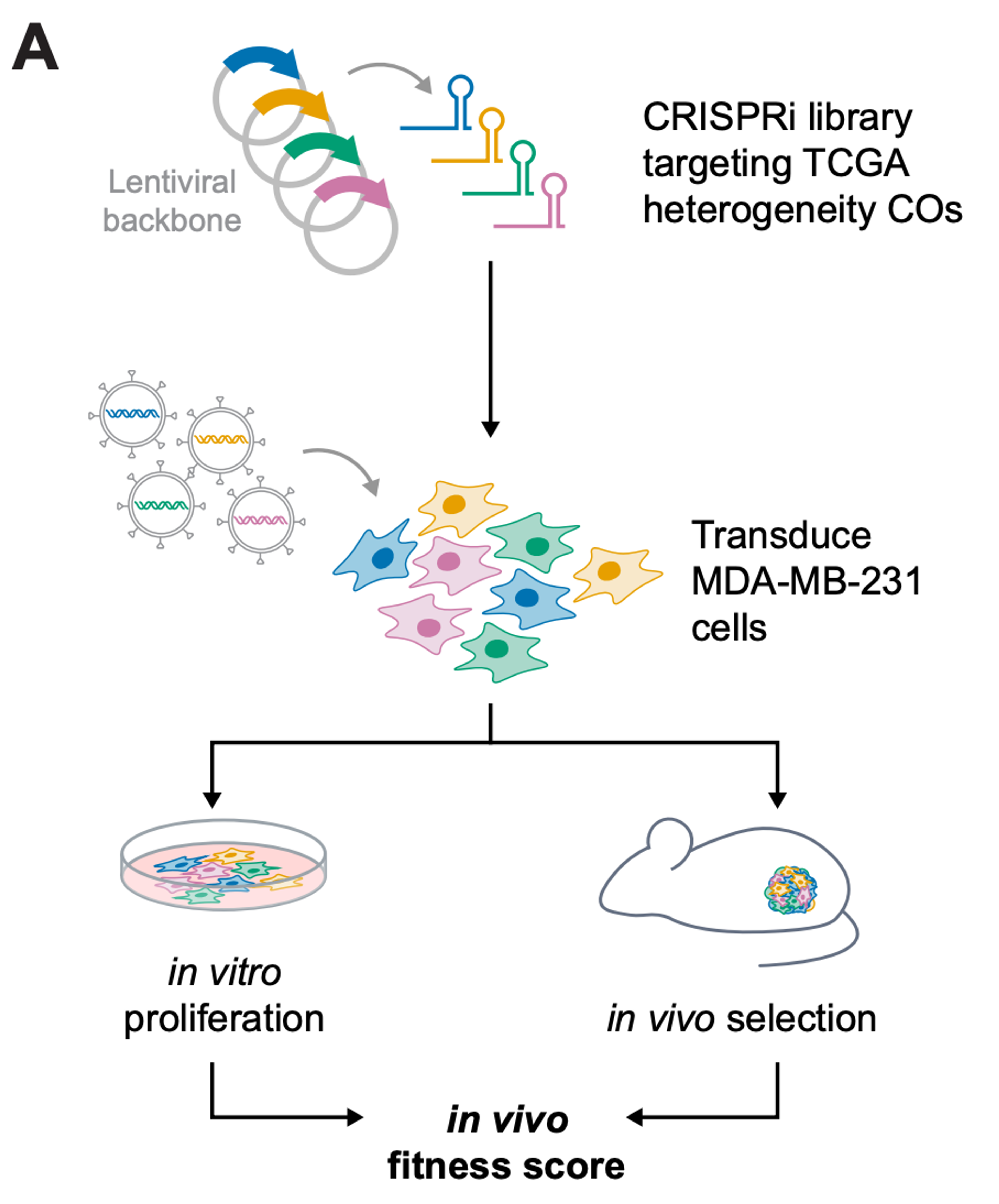 Systematic identification of chromatin organizers as tuners of intratumoral heterogeneity