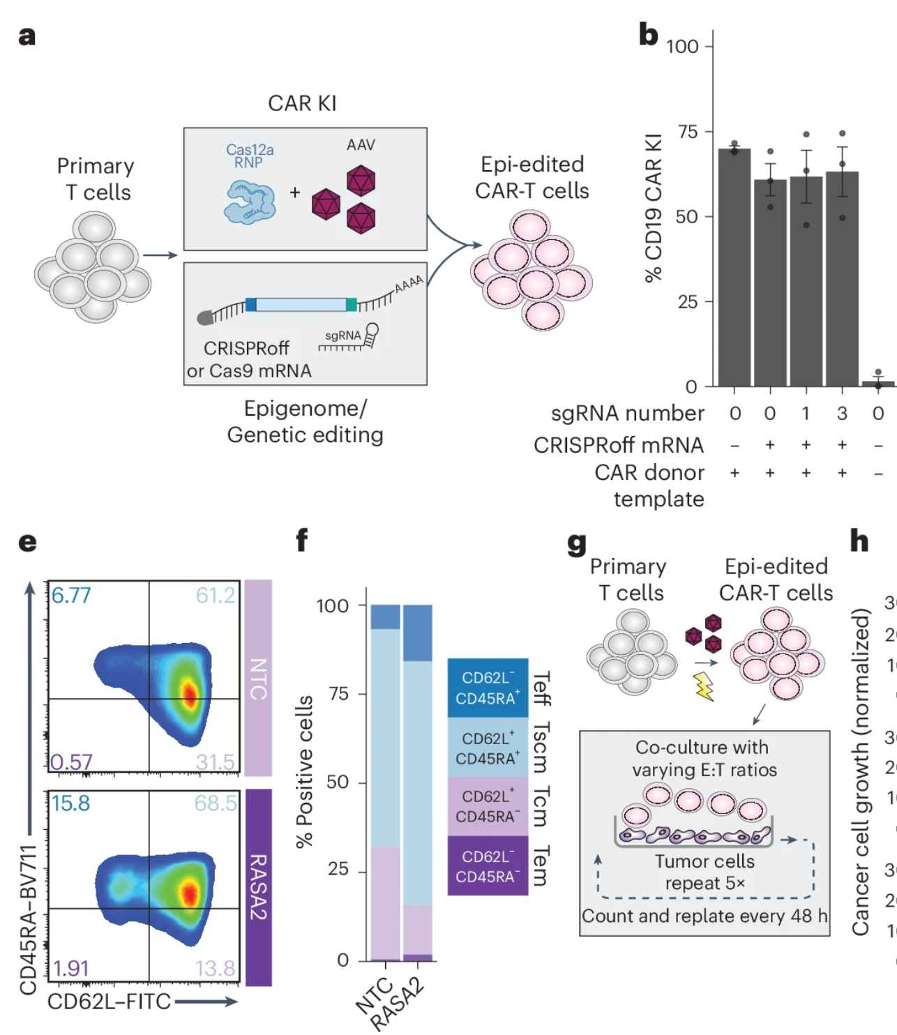 Integrated epigenetic and genetic programming of primary human T cells