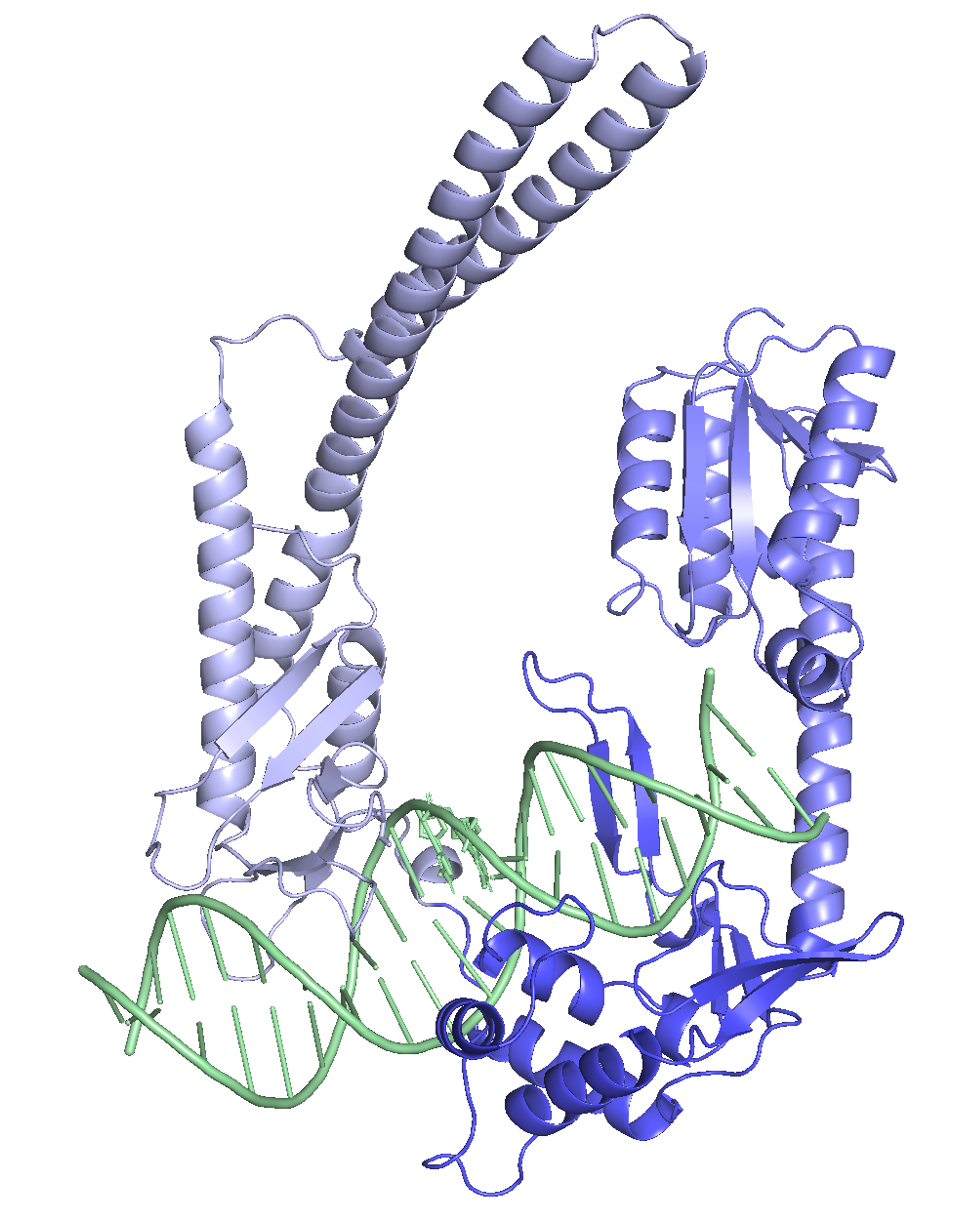 Site-specific DNA insertion into the human genome with engineered recombinases