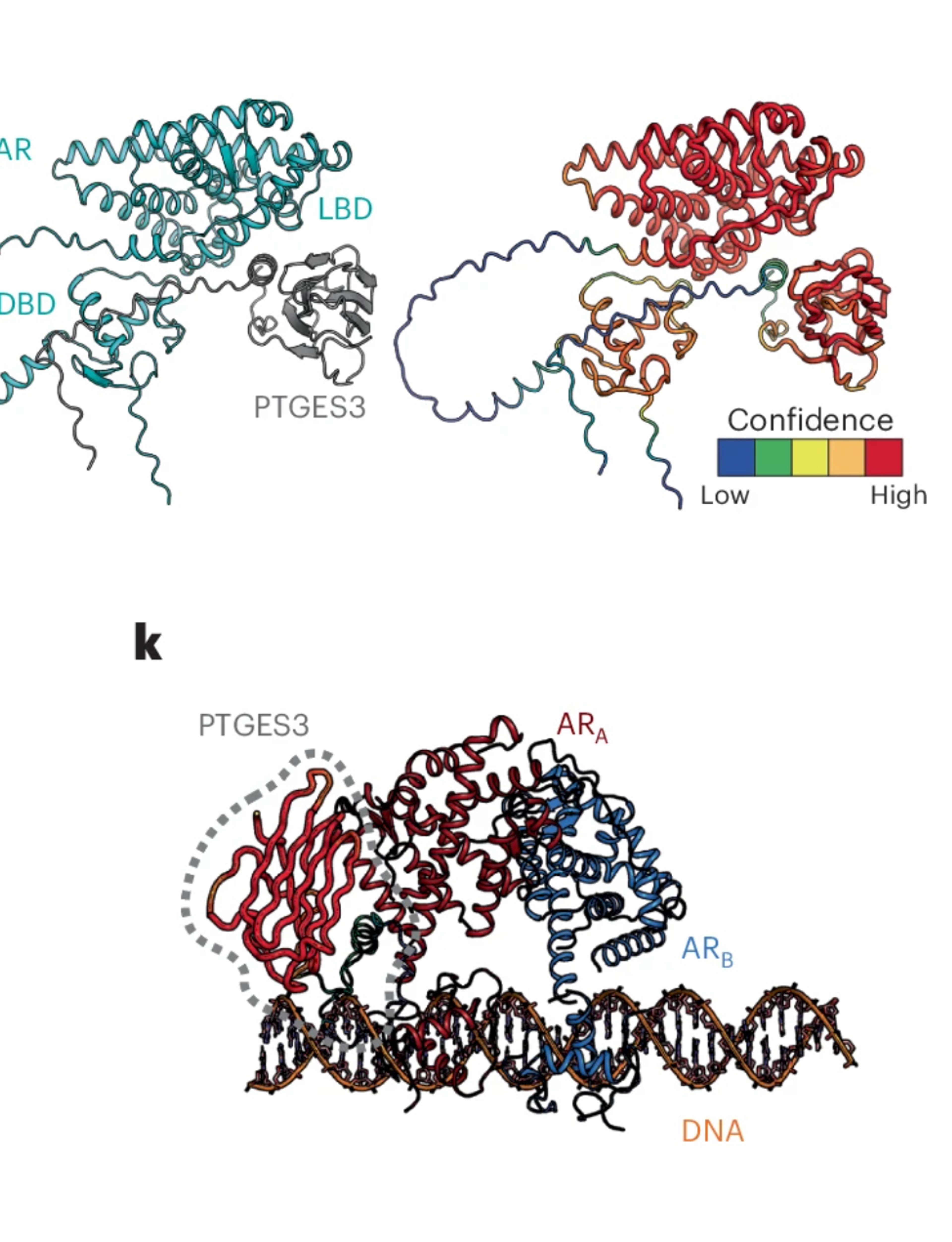 Genome-scale CRISPR screens identify PTGES3 as a direct modulator of androgen receptor function in advanced prostate cancer