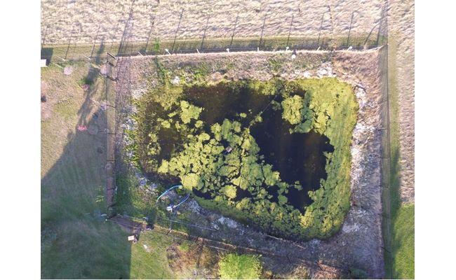 Before: Clark's farm pond covered in green algae