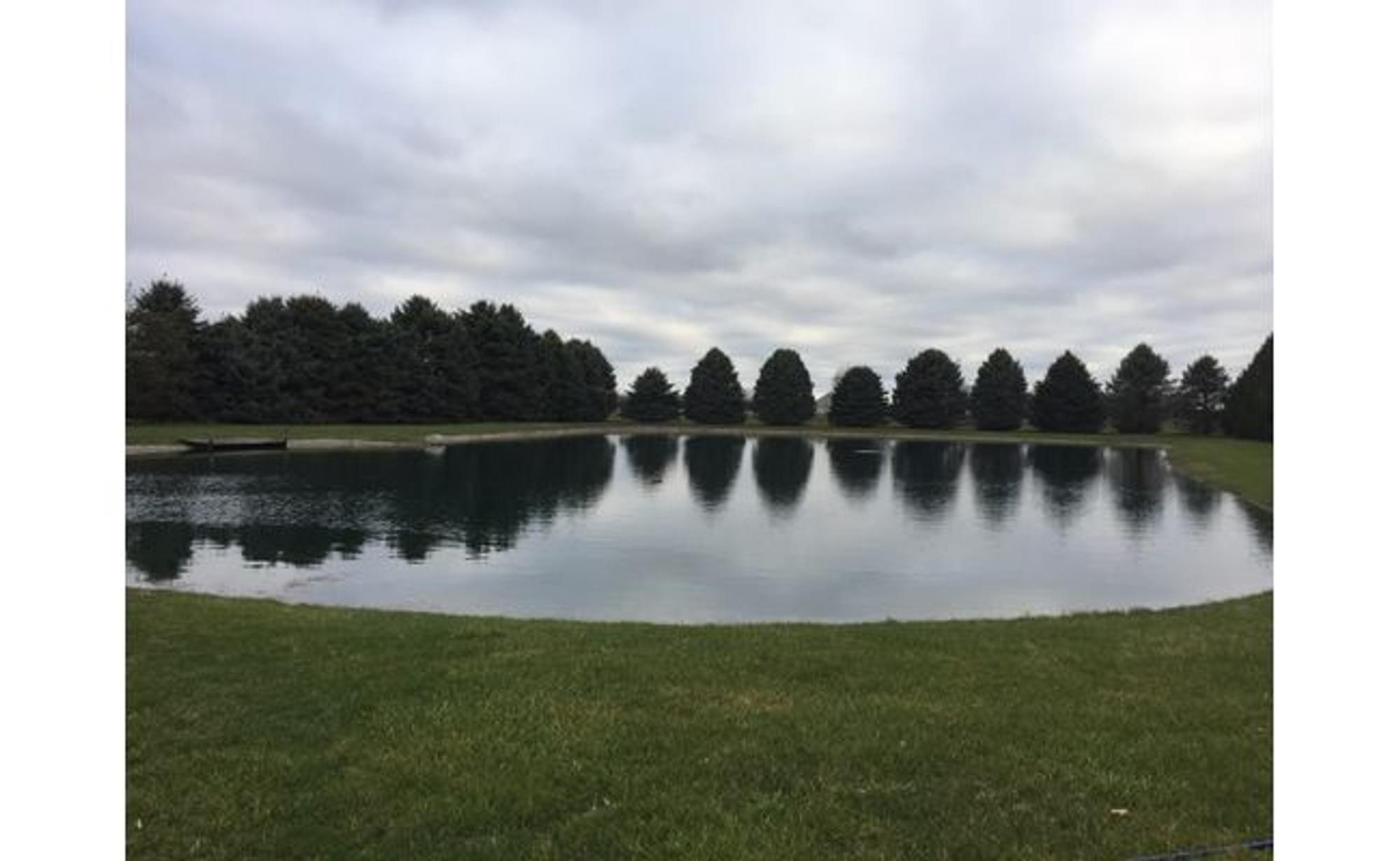 James's pond with a Koenders bottom-up aeration windmill