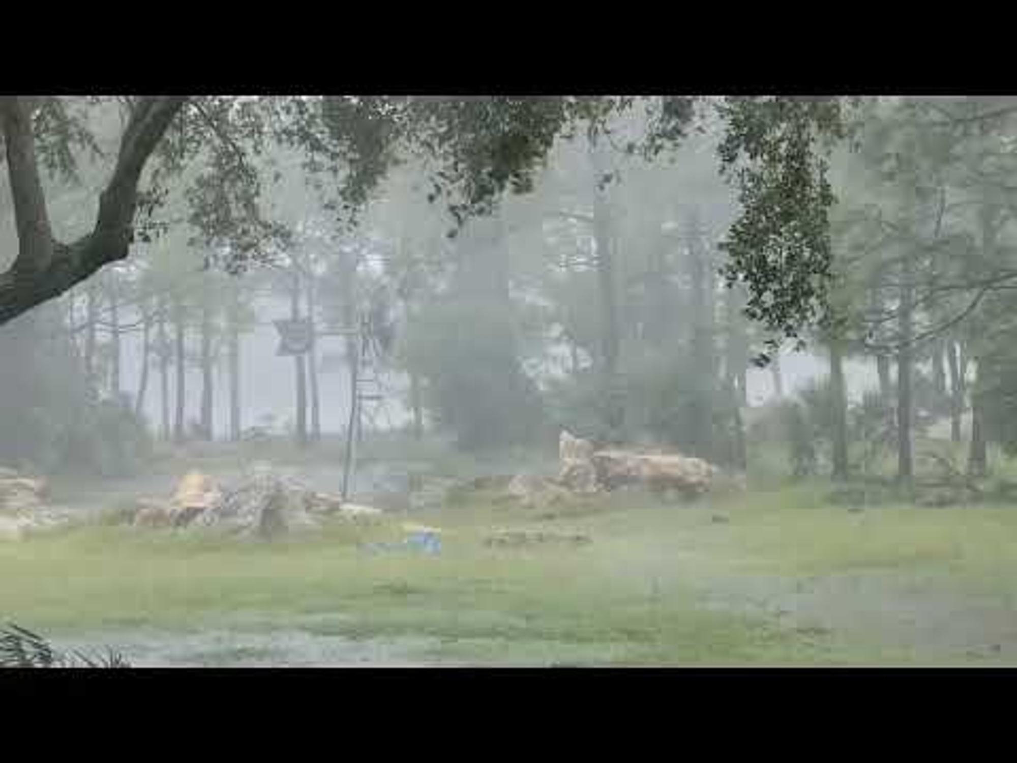 Koenders windmill that survived Hurricane Ian