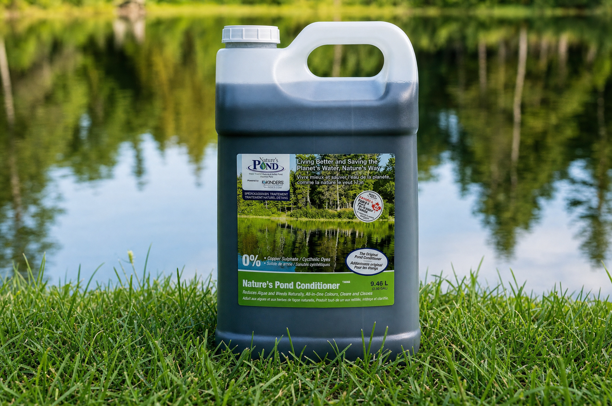 Clear healthy pond water with plant life at the edge