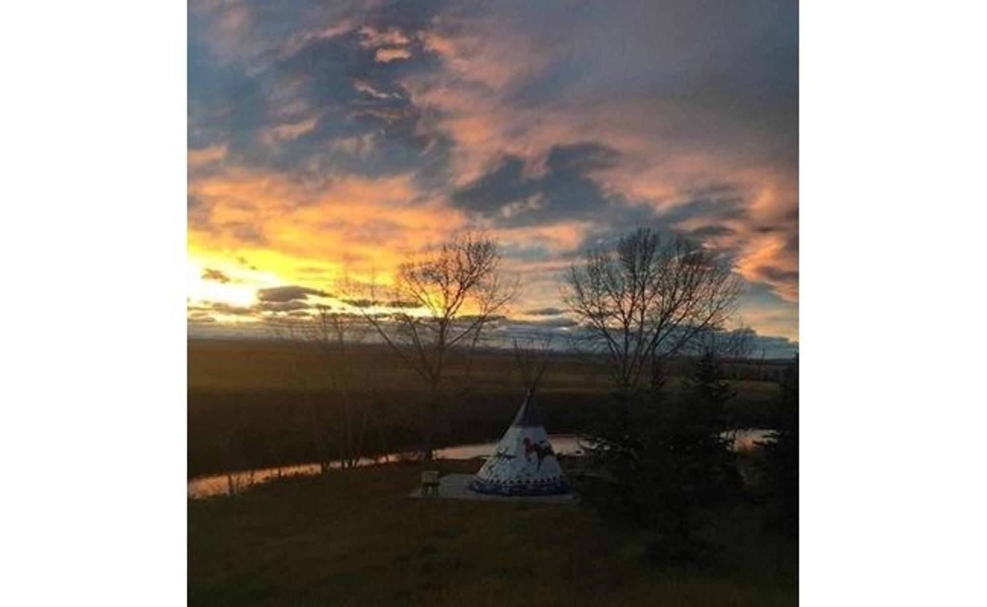 Trout pond on John's bee farm near Calgary