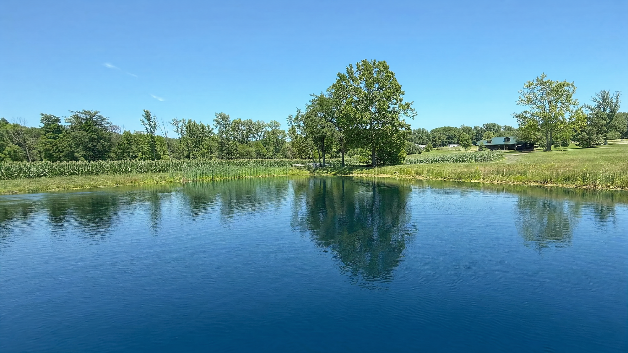 Clearer water for the whole property
