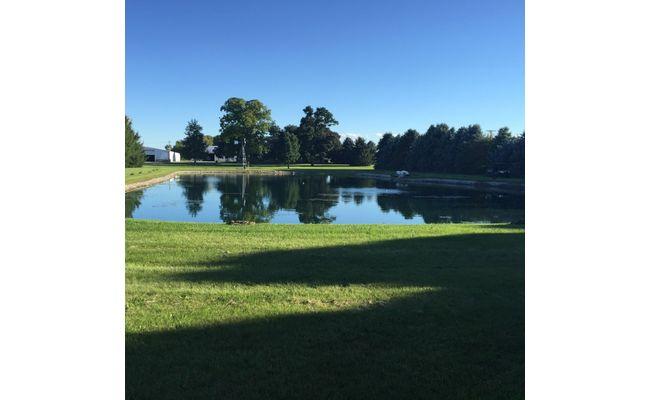 James's pond kept algae-free without chemicals