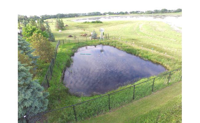 After: Clark's pond running clear with a Koenders windmill