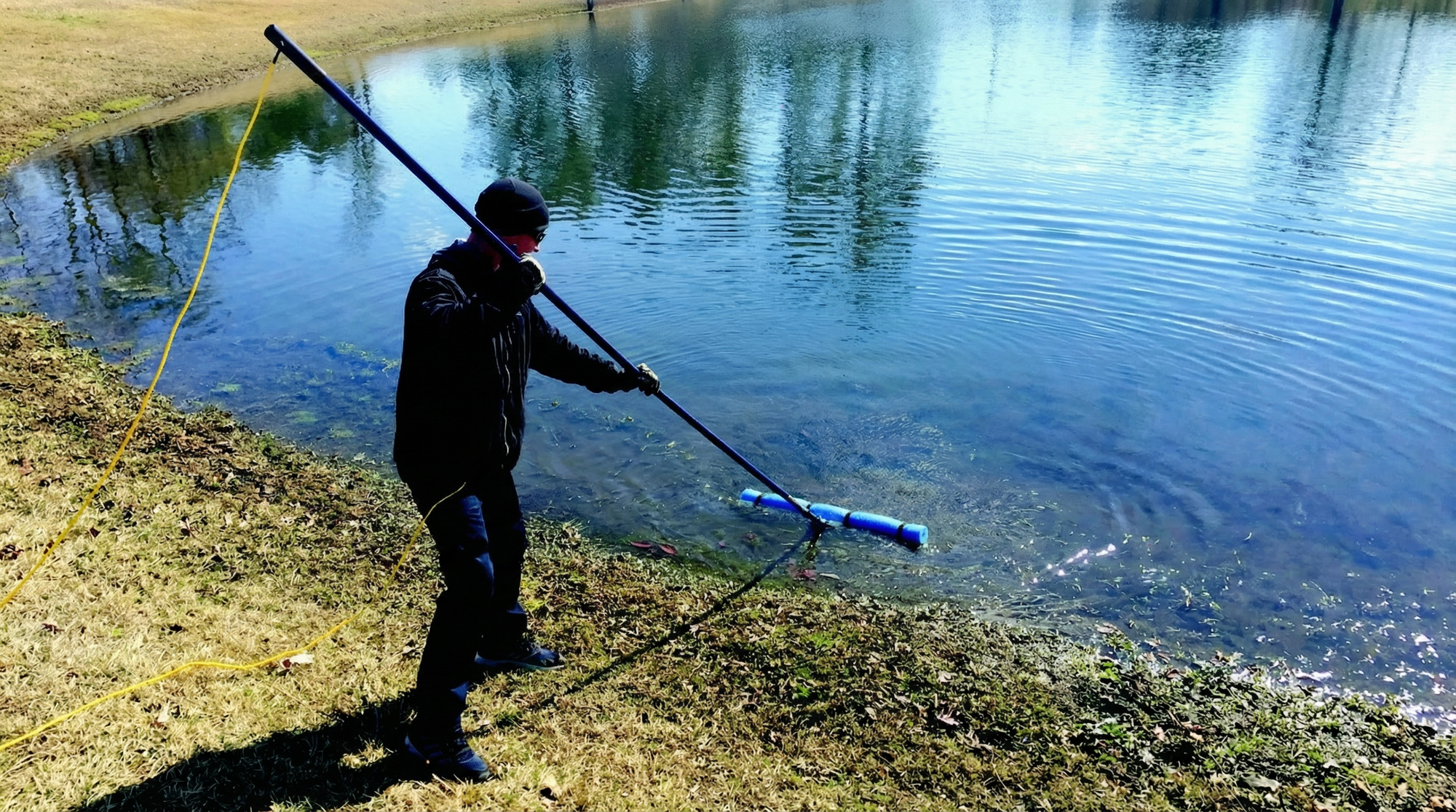 Remove weeds mechanically