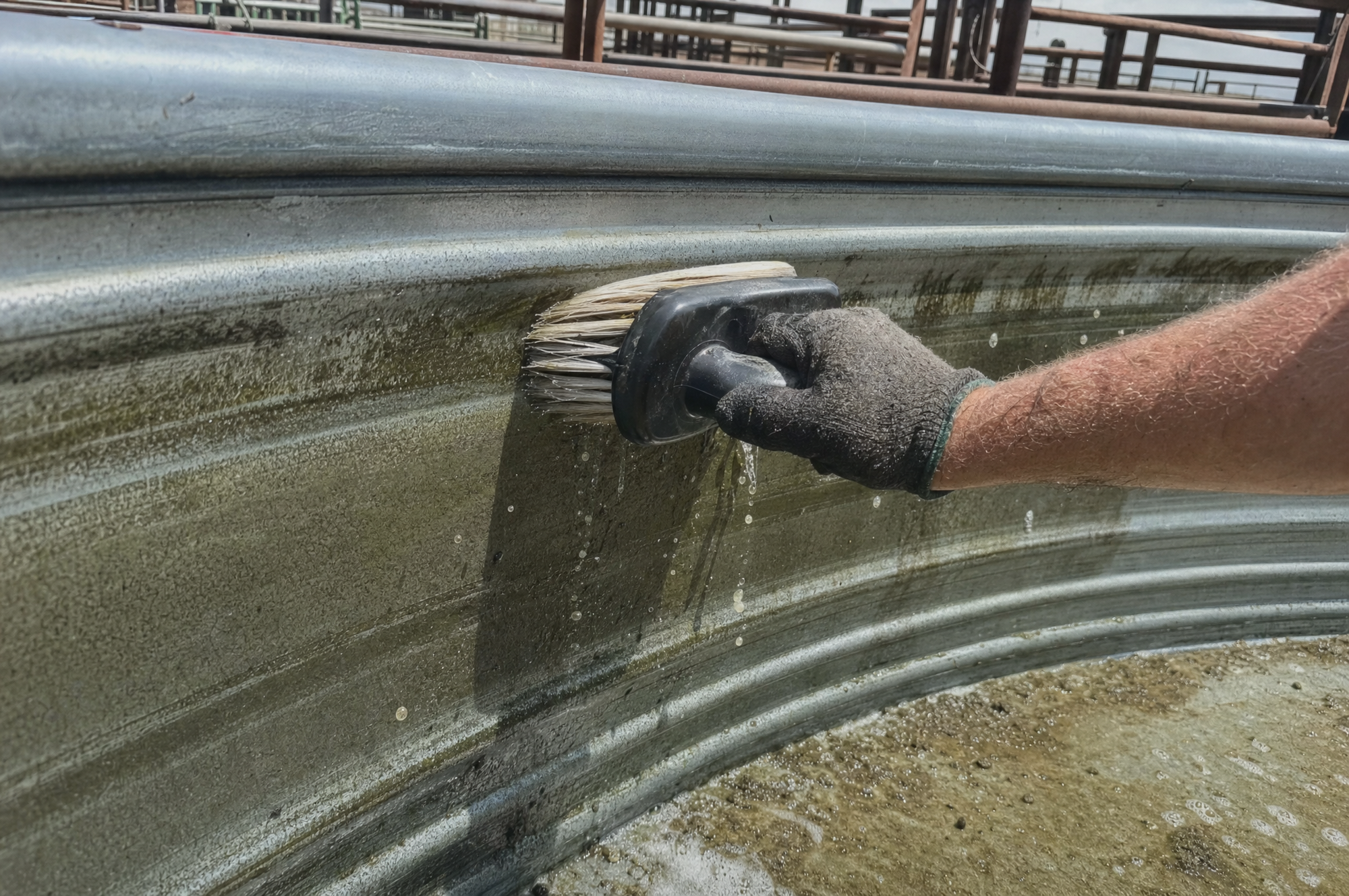 Constant scrubbing