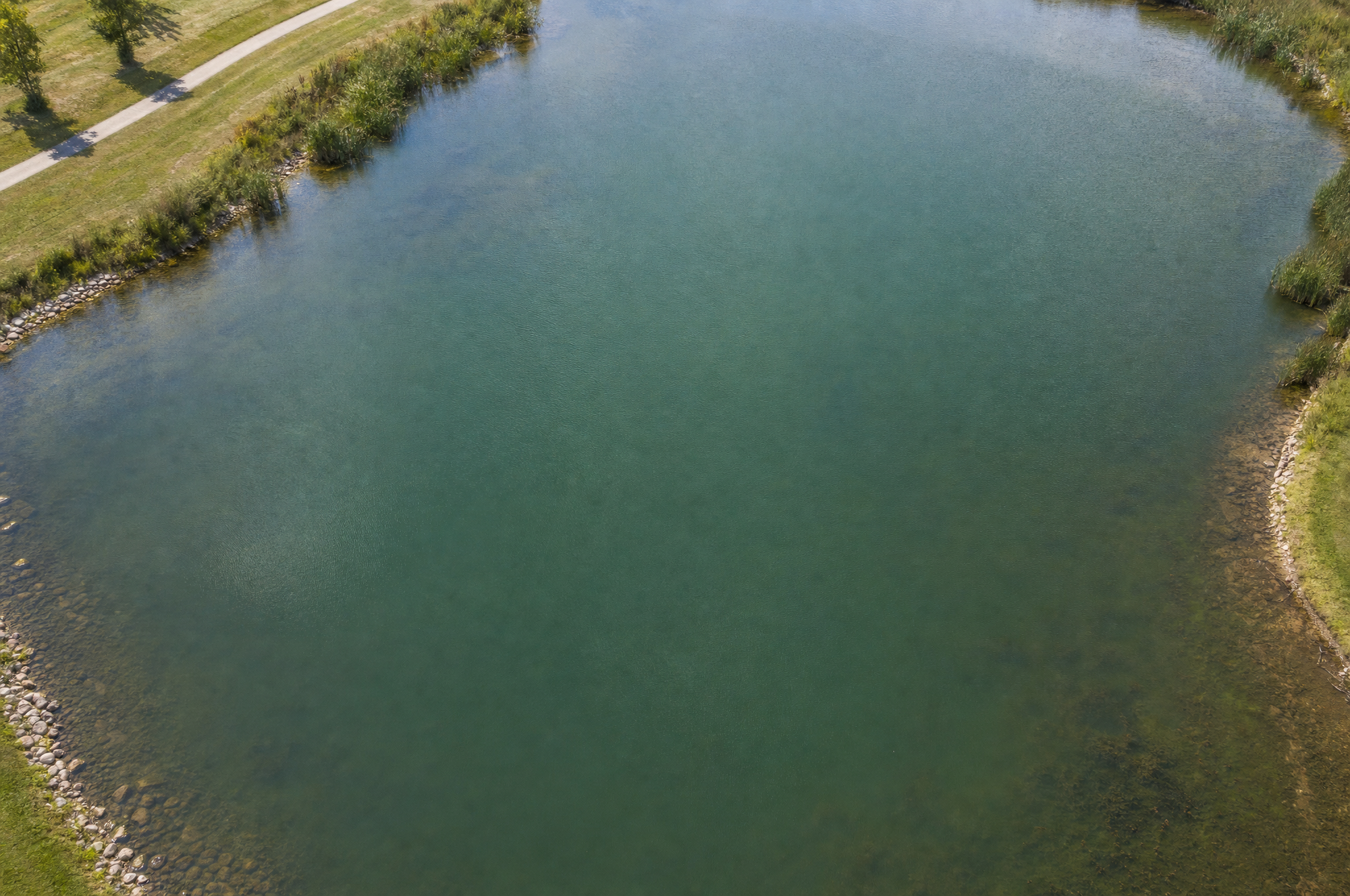 Blue-Green Algae Liability: HOA, Pet, and Public-Health Risk (and How to Prevent It)