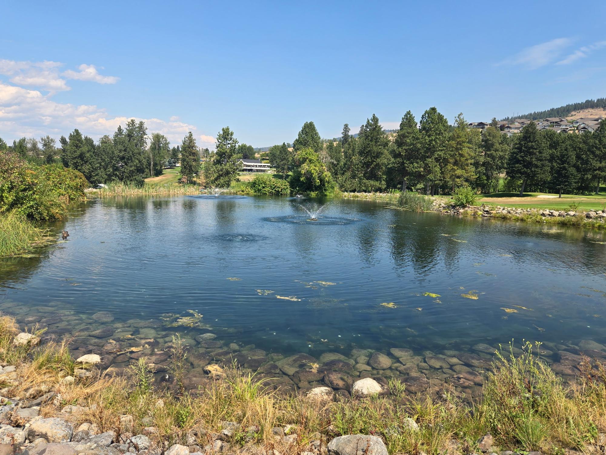 A clear, healthy pond kept clear with natural care