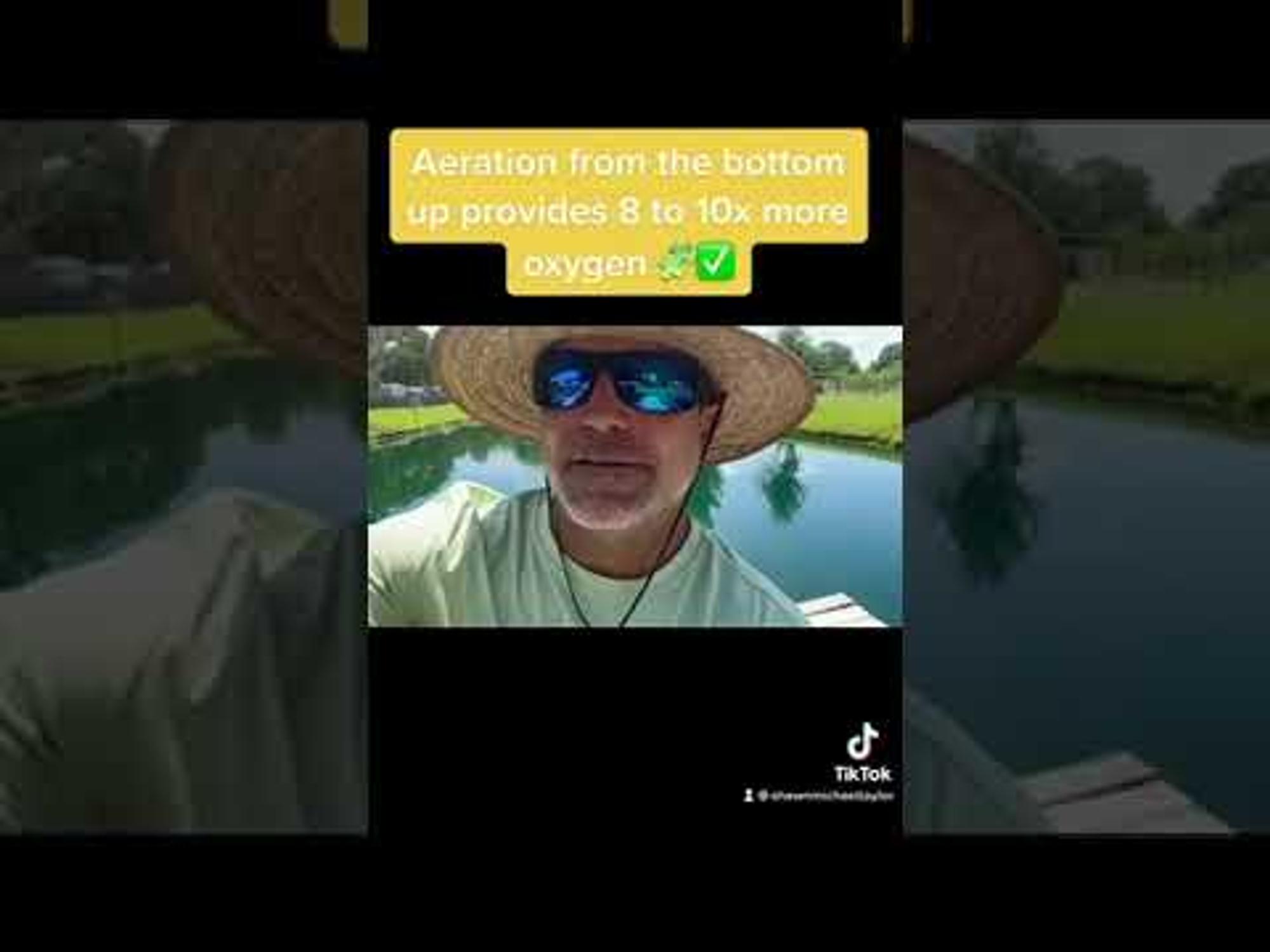 Bottom-up aeration and pond conditioner