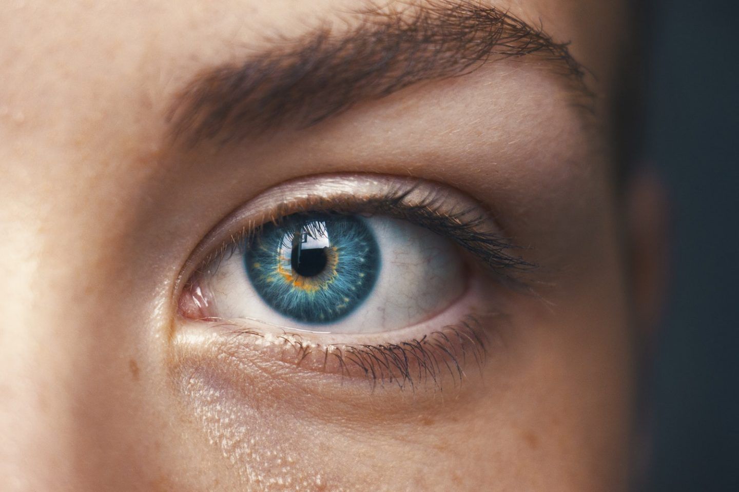 Ophthalmology (Eye Care)