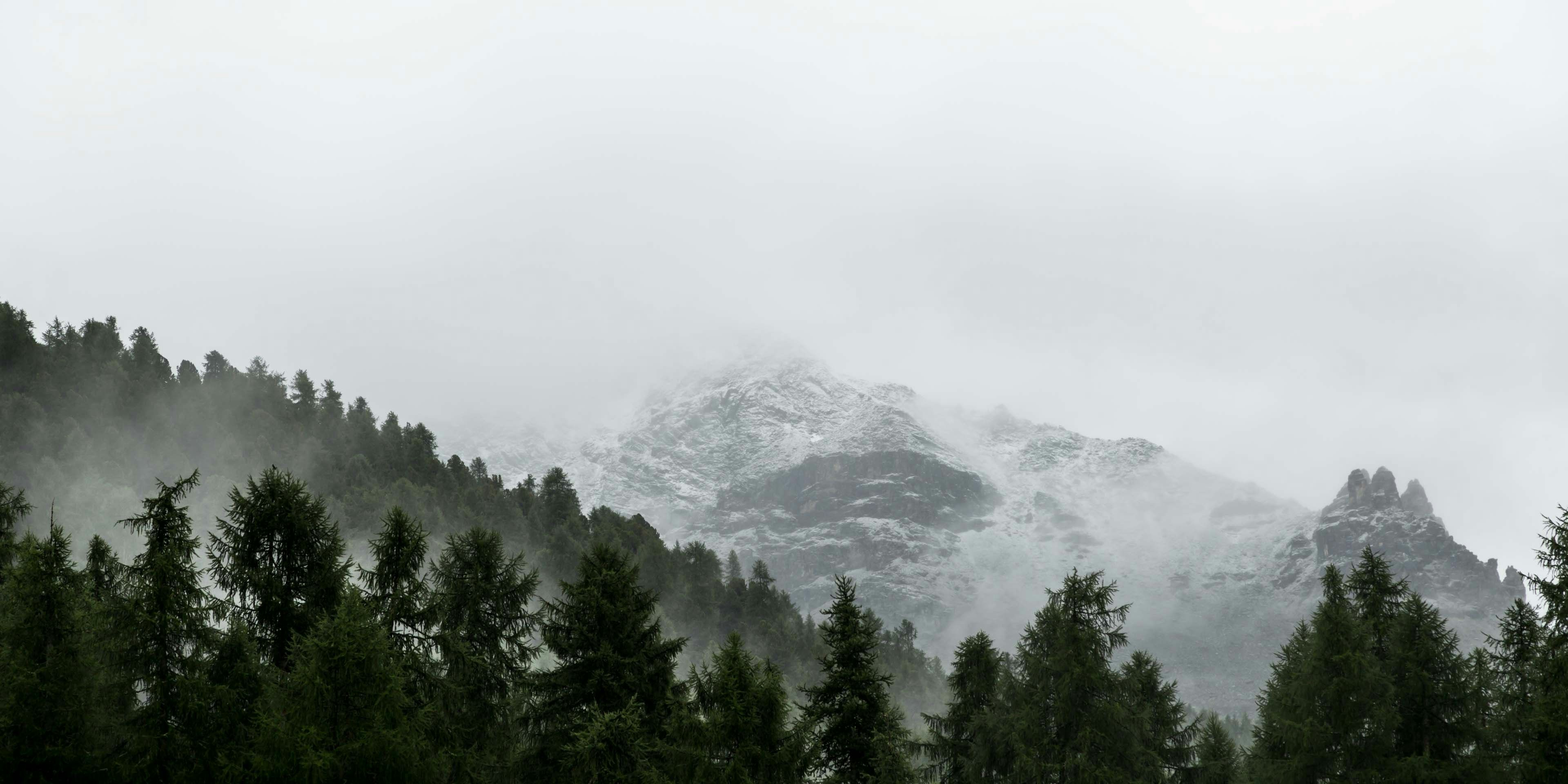 on the way to Corwatsch on a misty morning.