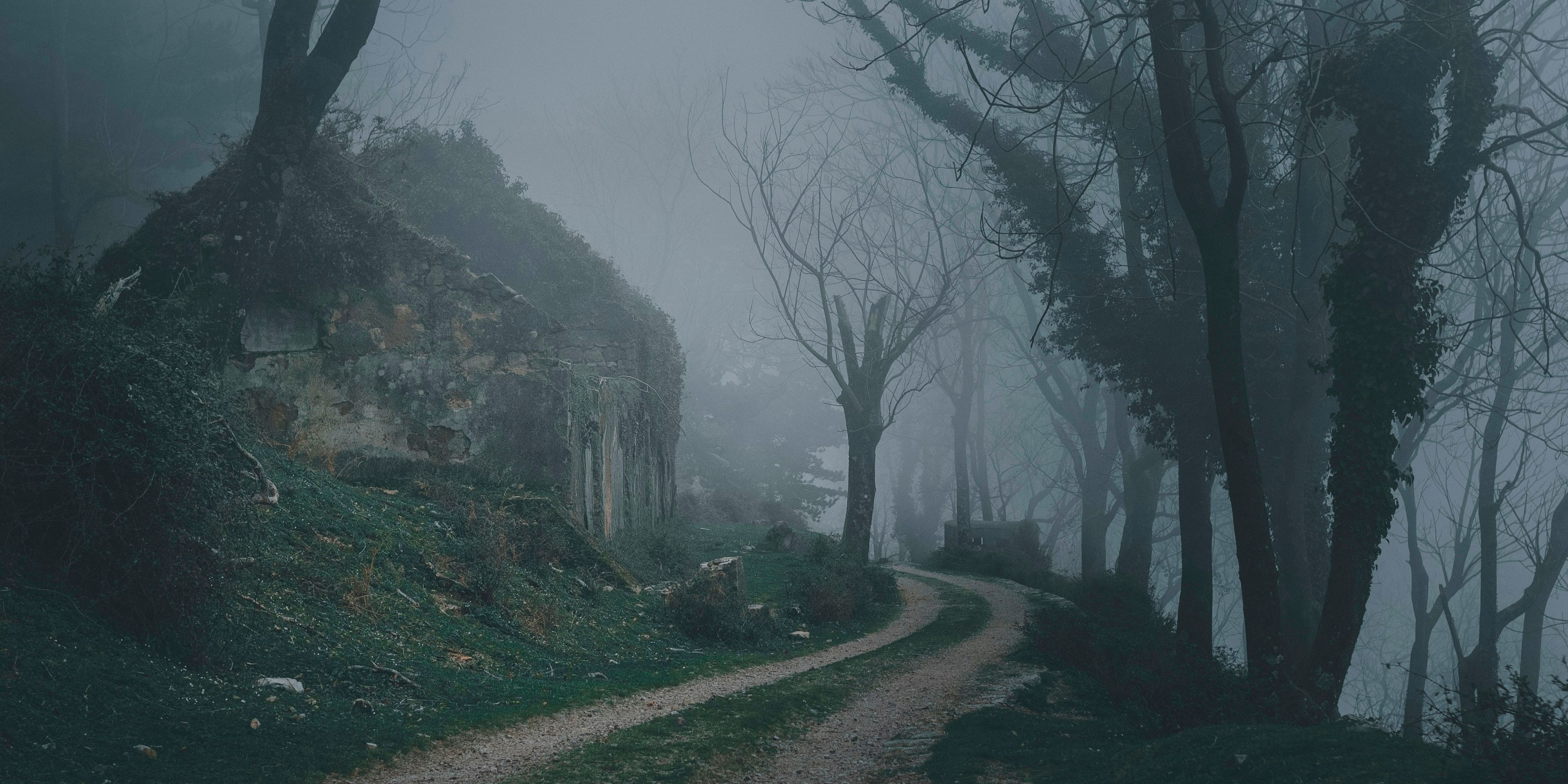 The road is in a foggy and scary forest.
