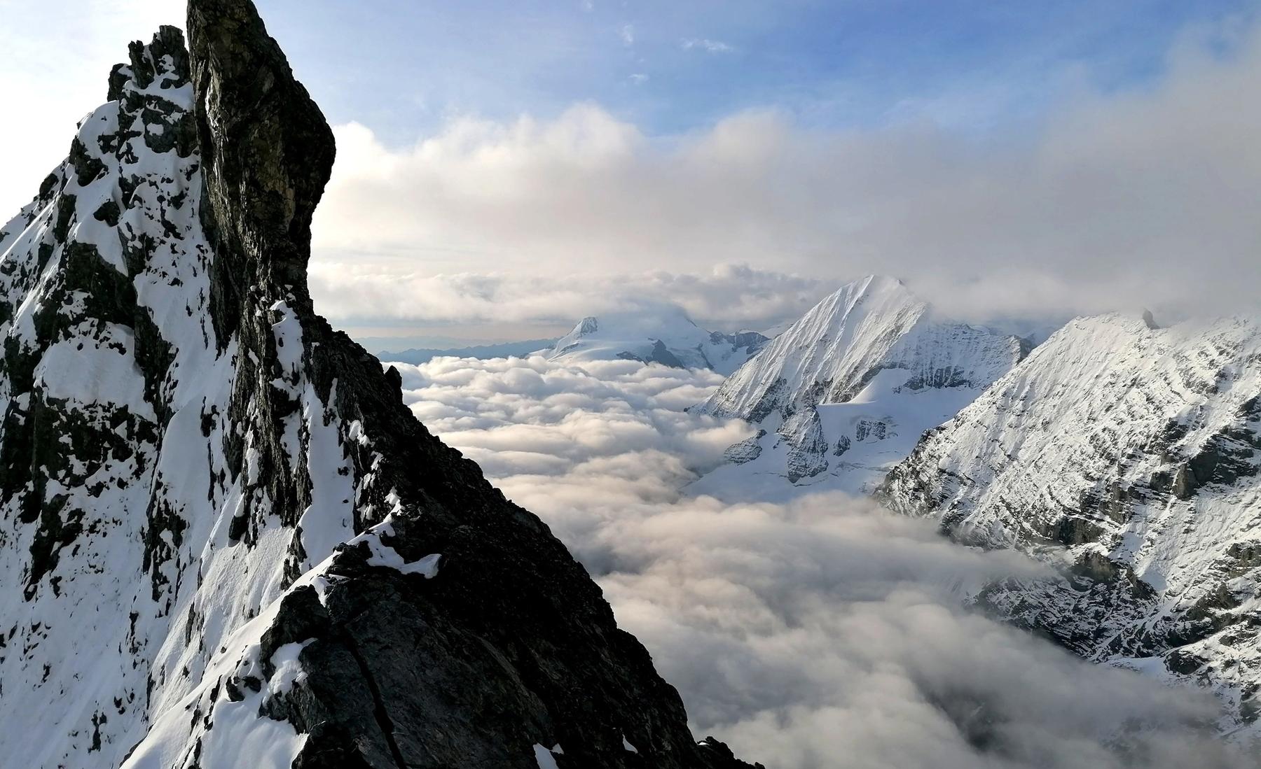 Ortles 3905m - Via Hintergrat