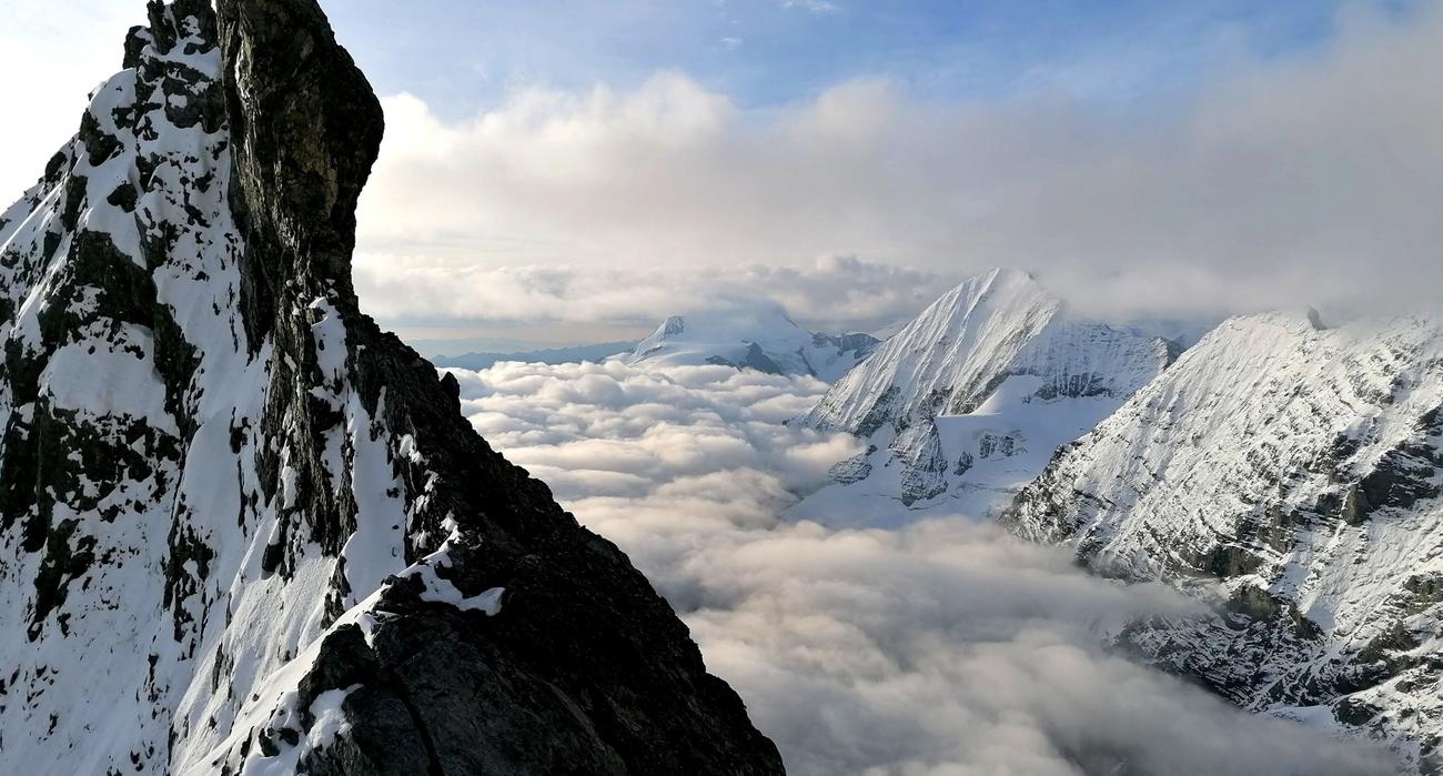 Ortles 3905m - Via Hintergrat