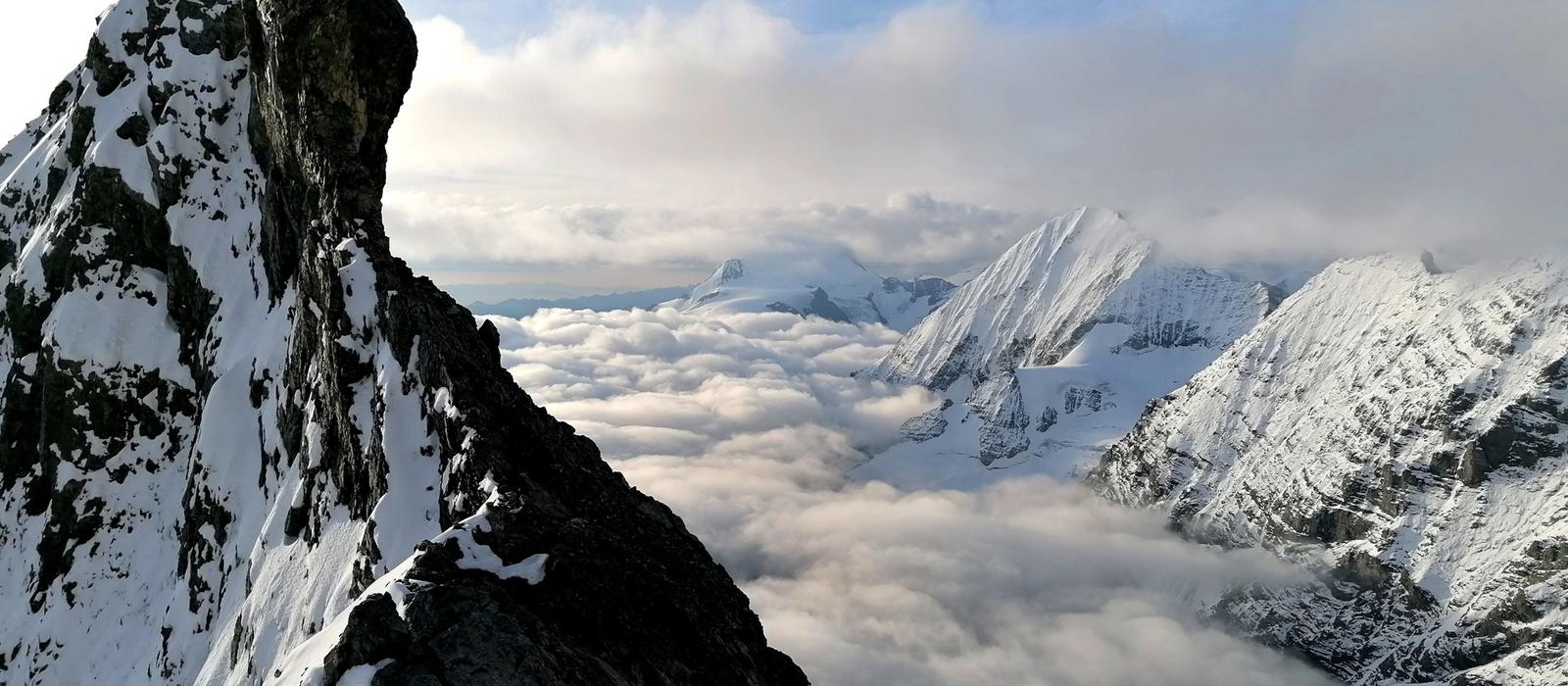 Ortles 3905m - Via Hintergrat