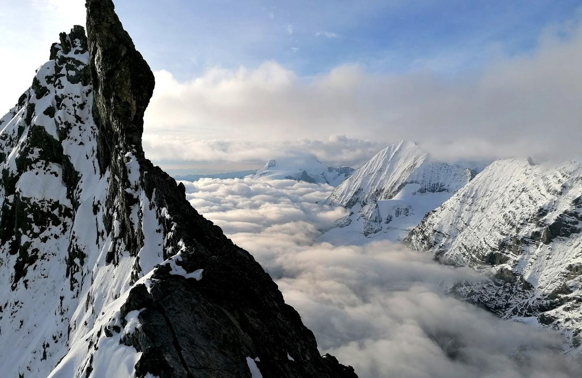 Ortles 3905m - Via Hintergrat