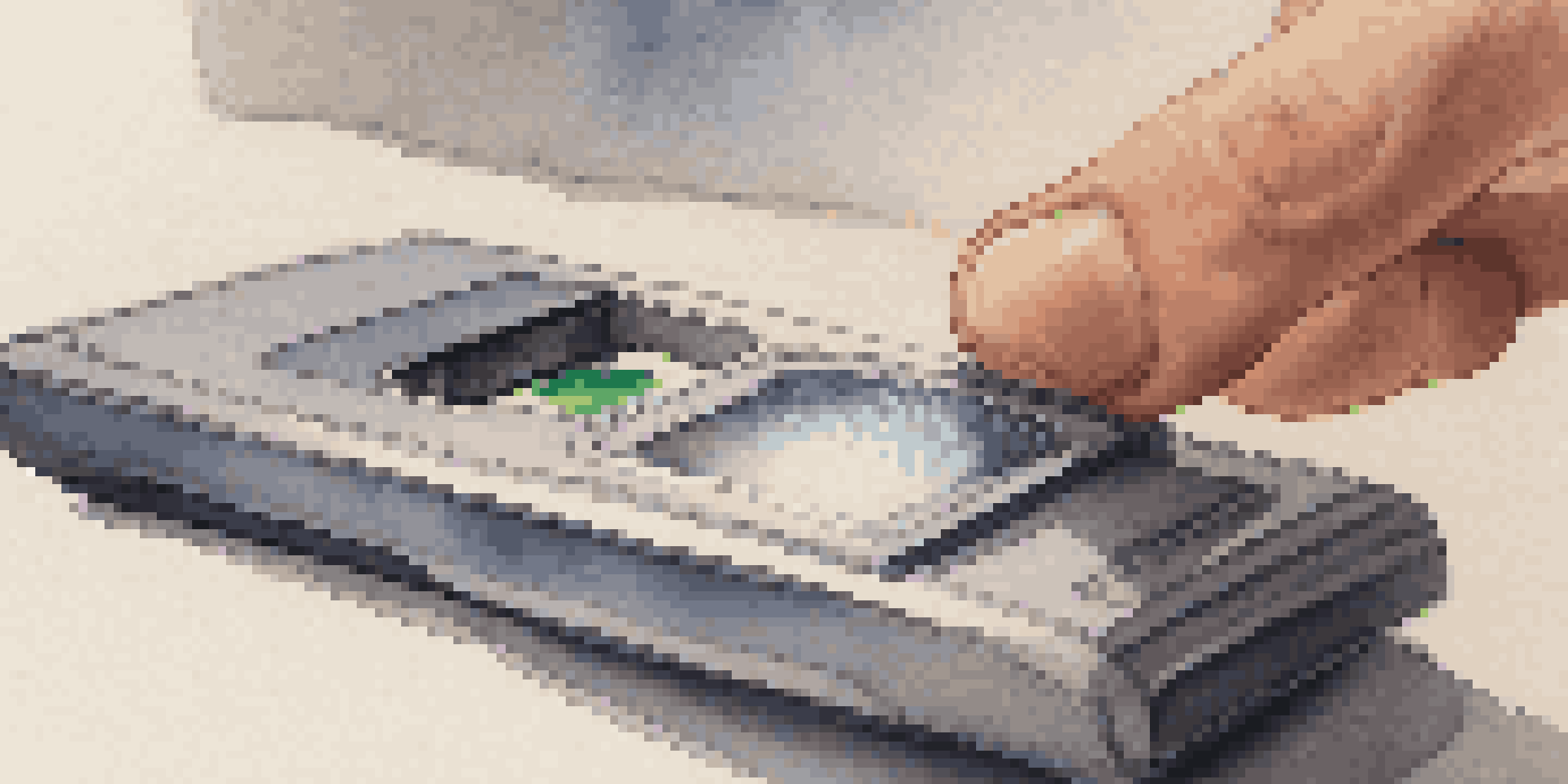 A close-up view of a fingerprint scanner being used with a finger touching the sensor, set against a softly blurred background.