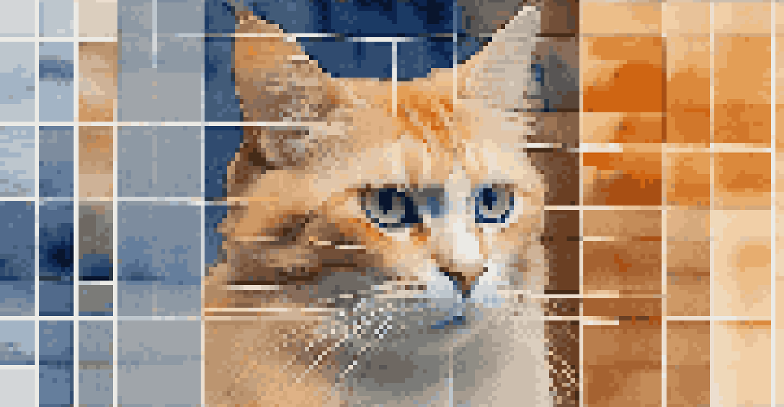 An artistic representation of a convolutional neural network analyzing an image of a cat, showcasing highlighted edges and textures.