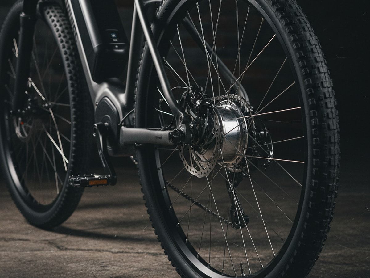 Heckmotor Nabenmotor Detailansicht Hinterrad