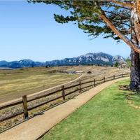 Mountain Meadows