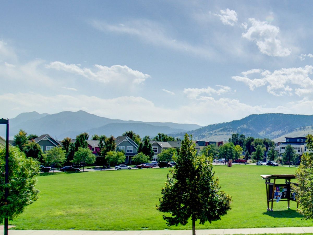Holiday Neighborhood