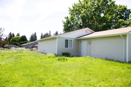 Exterior Backyard