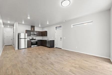 Kitchen and Living Space