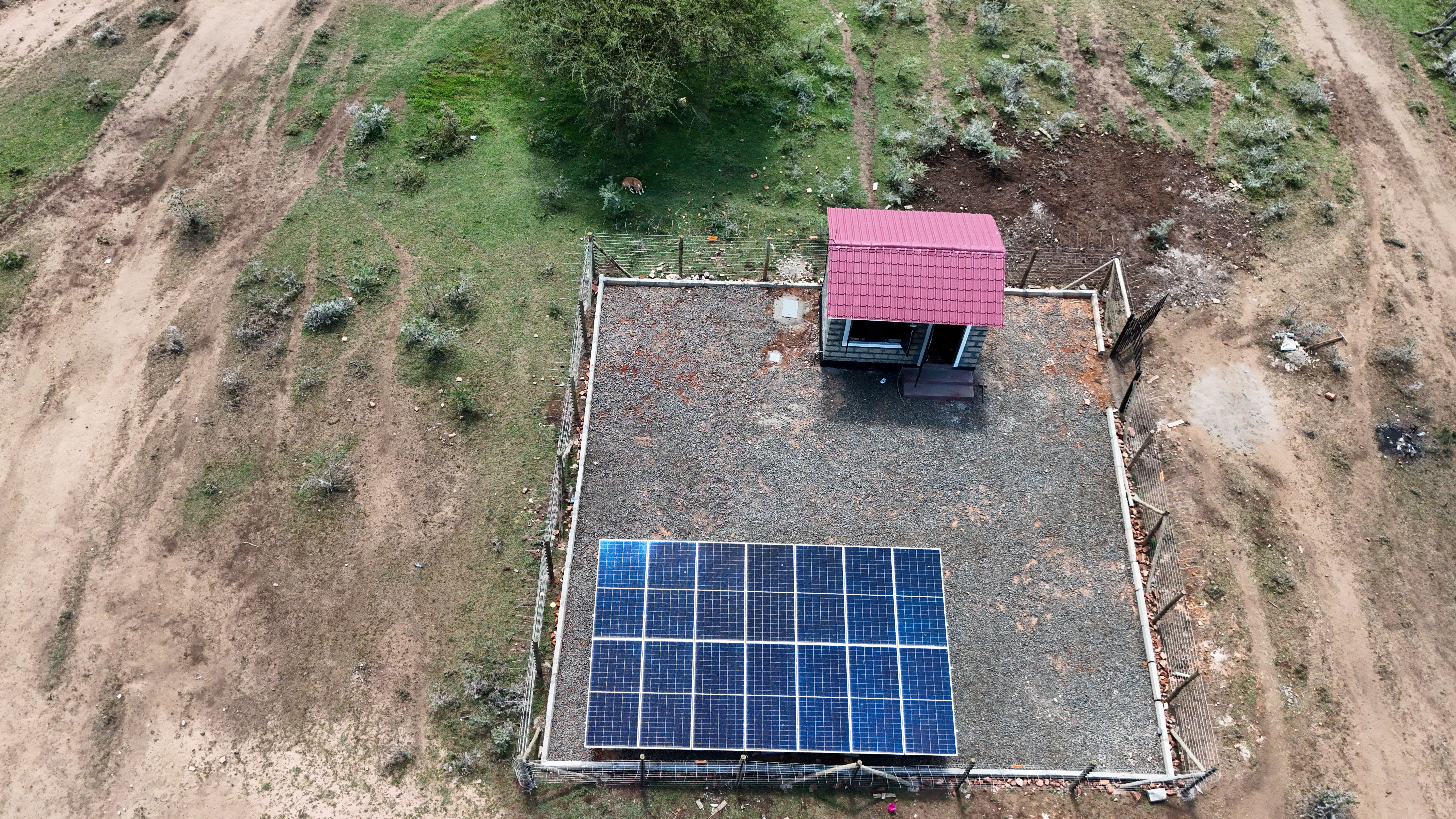 Maasai Mara_Power_Project highlight 4