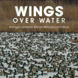 Michael Keaton's WINGS OVER WATER