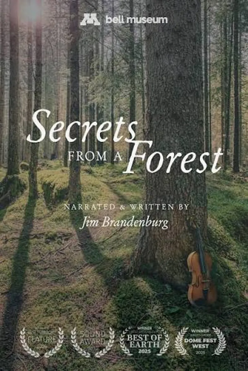 SECRETS FROM A FOREST: An Immersive Journey Through Nature, Art and Music
