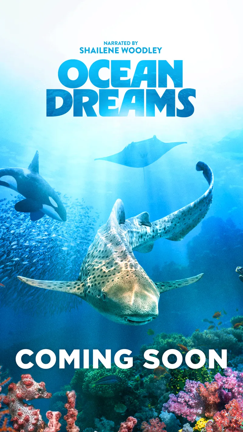 Shailene Woodley's OCEAN DREAMS