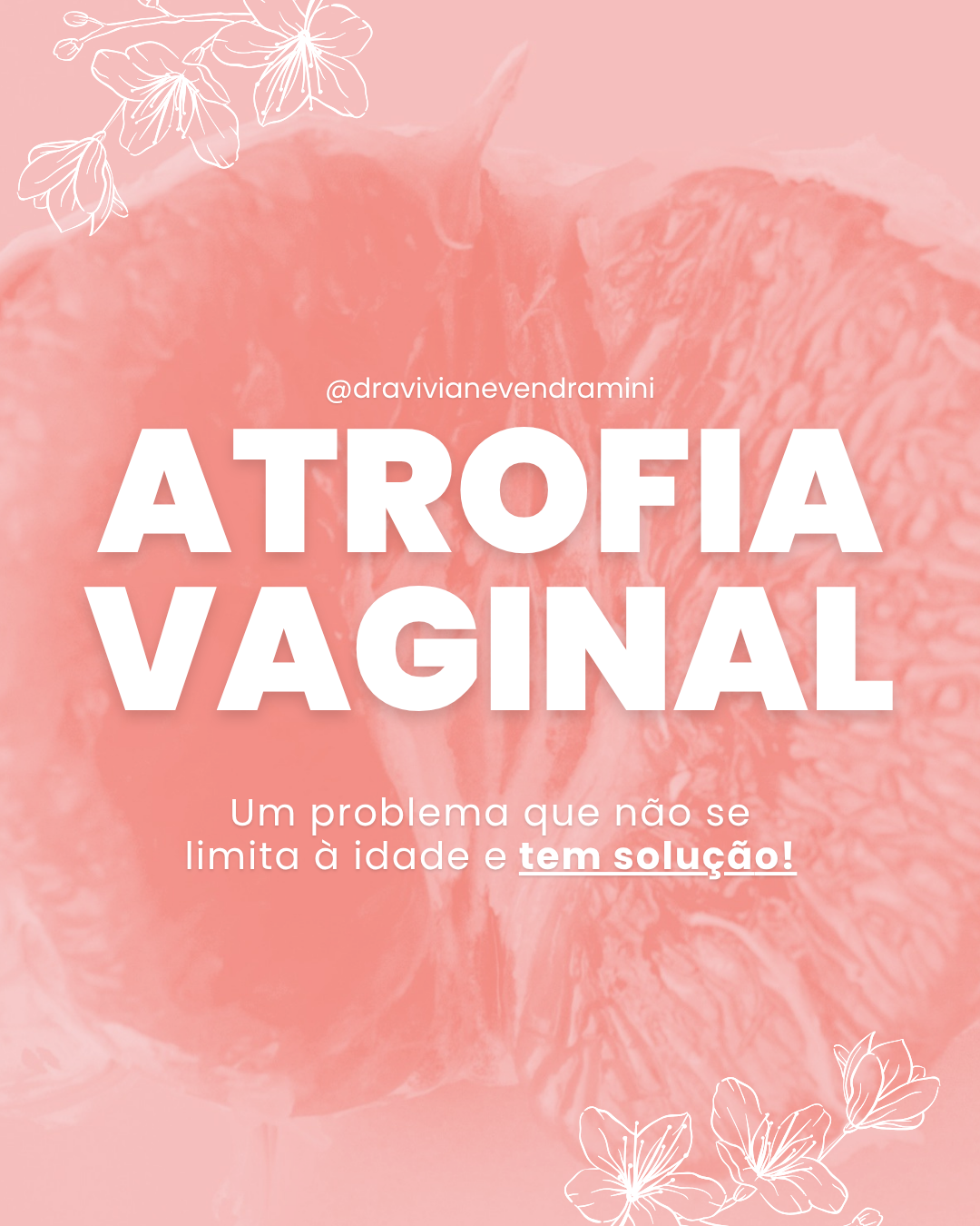 Criação de Arte | Dra. Viviane