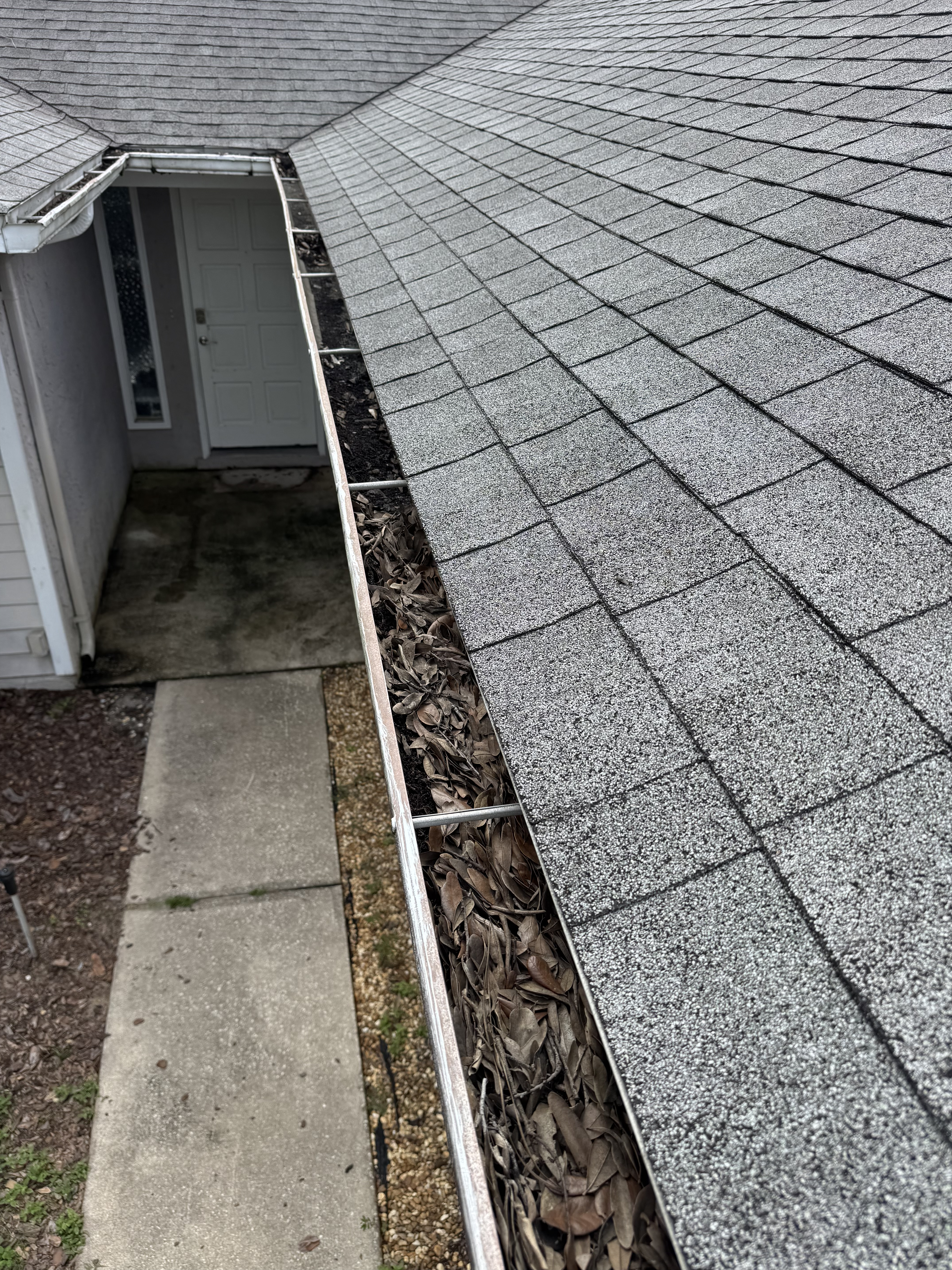 Gutter Clean Up