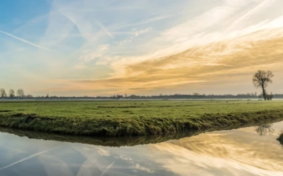 Wetland Gardens for Wastewater Management