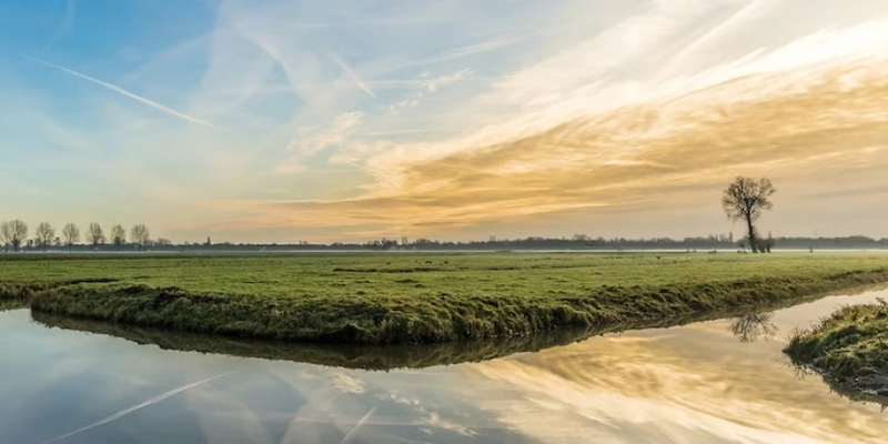 Wetland Gardens for Wastewater Management