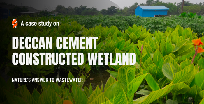 deccan-cement-aerated-wetlands