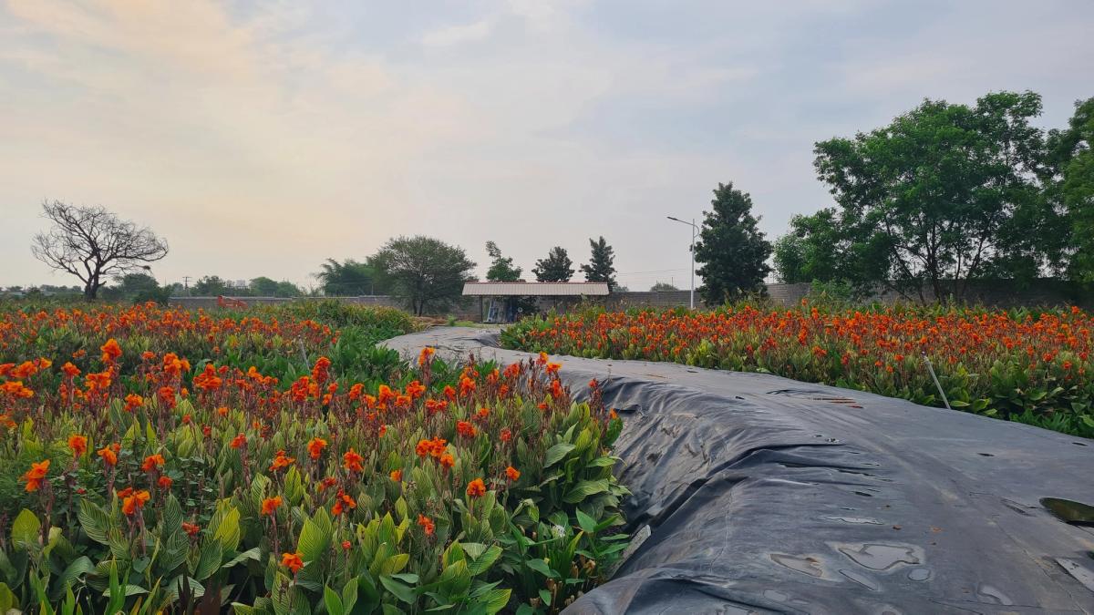 KANHA SHANTI VANAM Township, HYDERABAD 